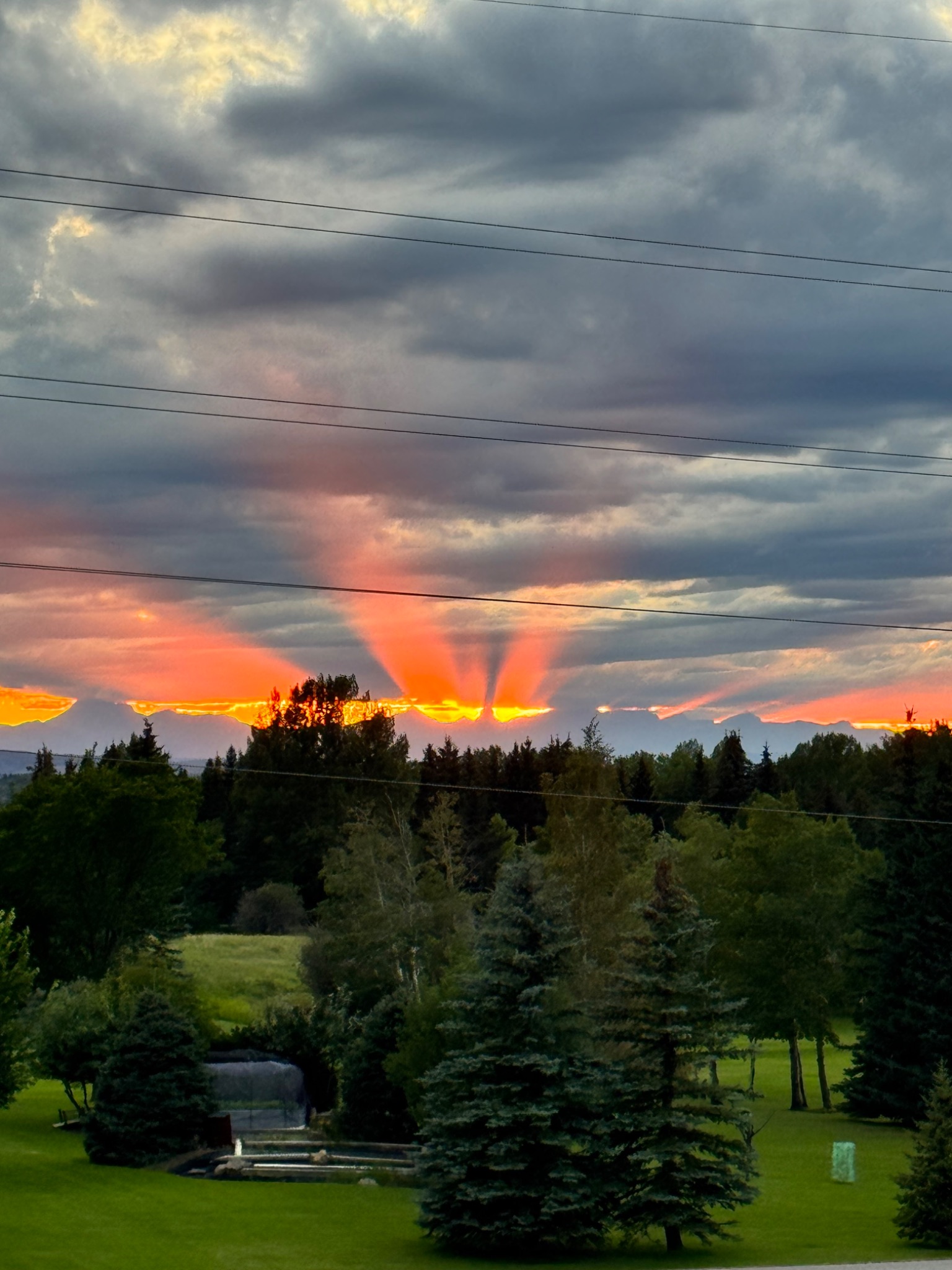 Community photo by Nimer