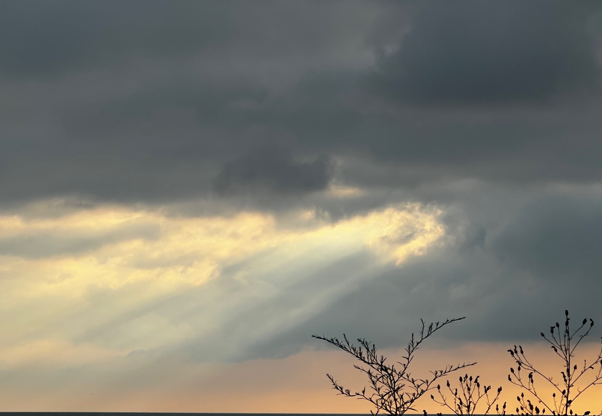 Community photo by Karen Frederick | Evanston, IL USA