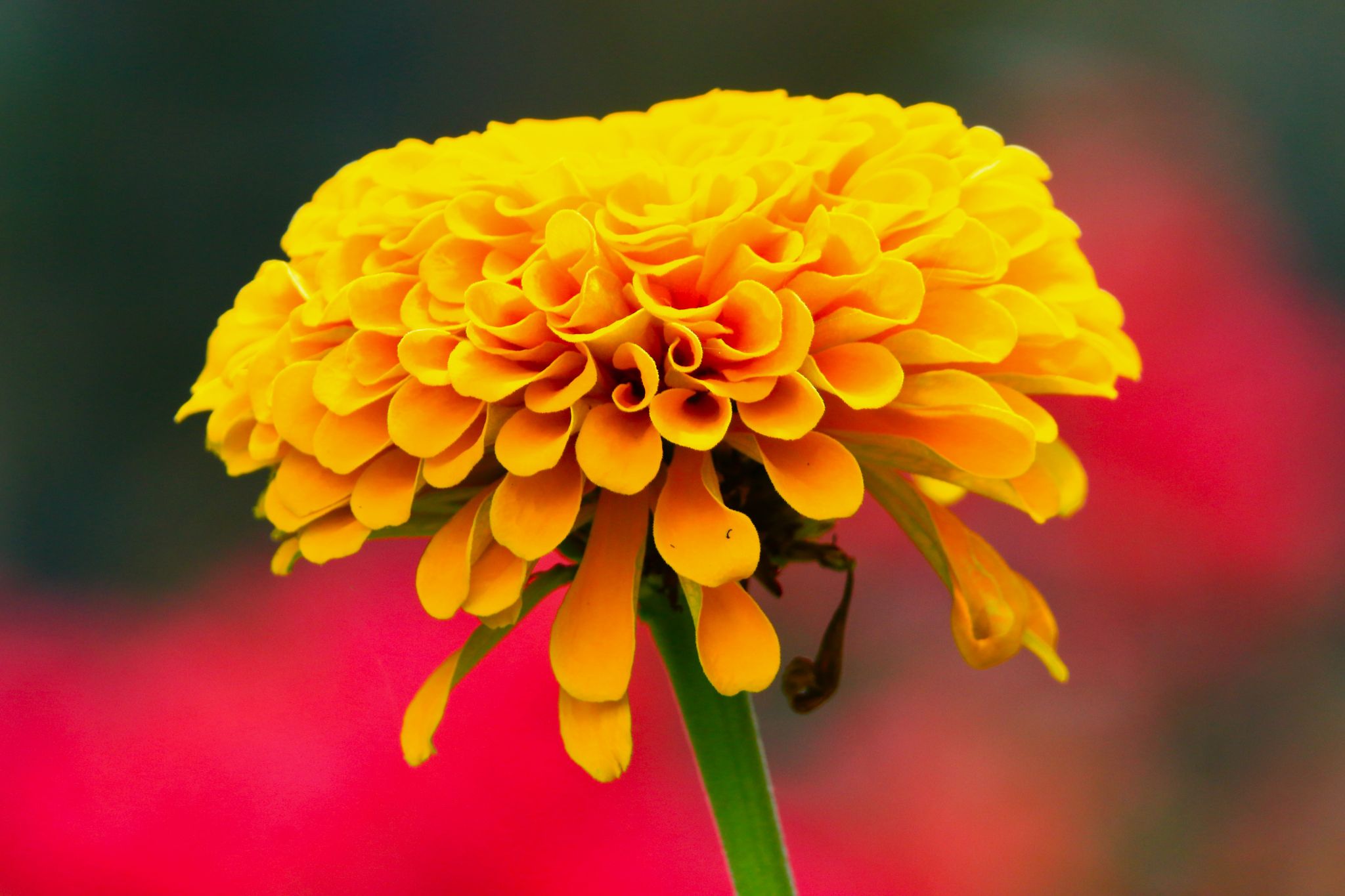 Community photo by Bill