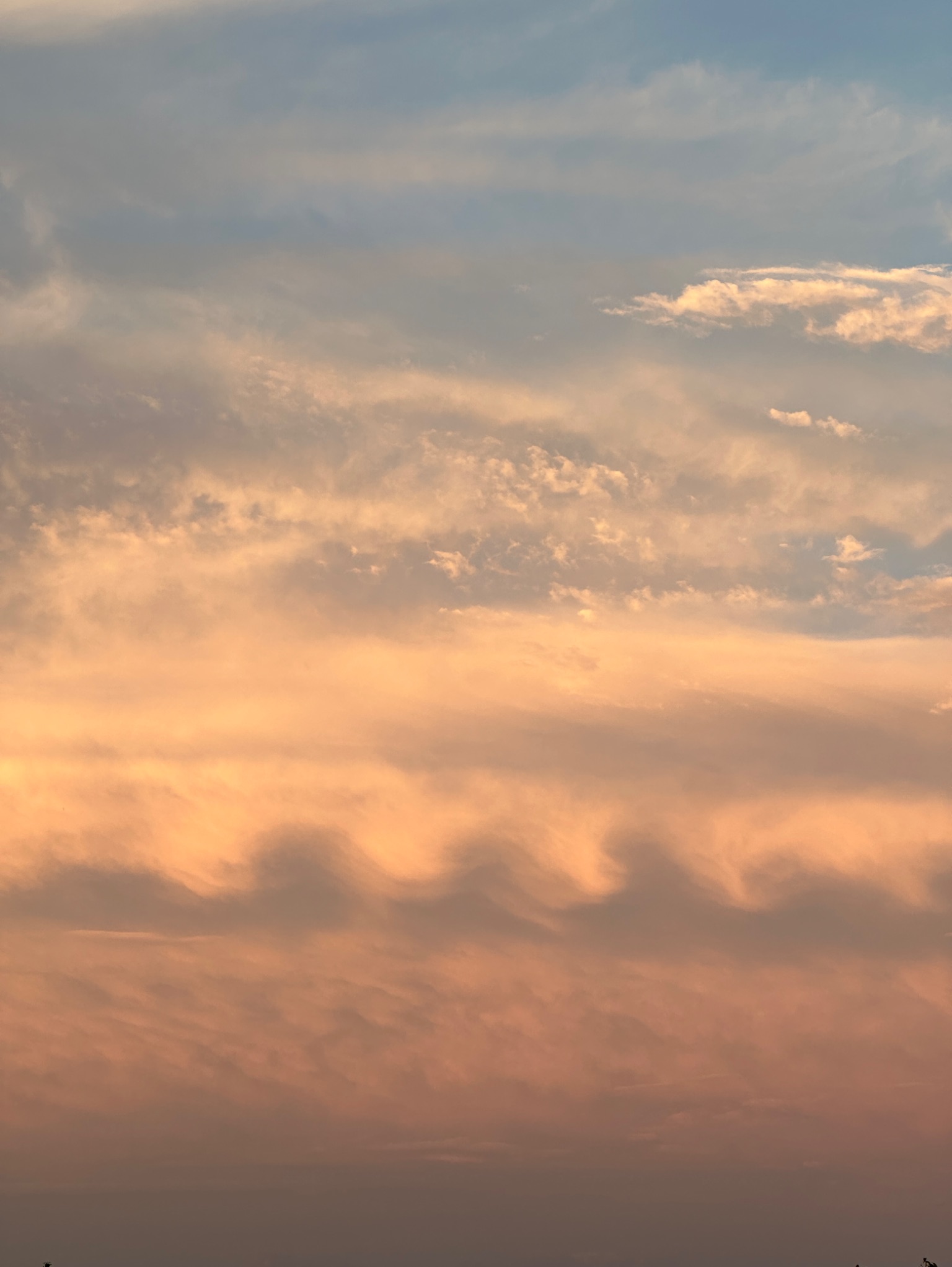 Community photo by Scott