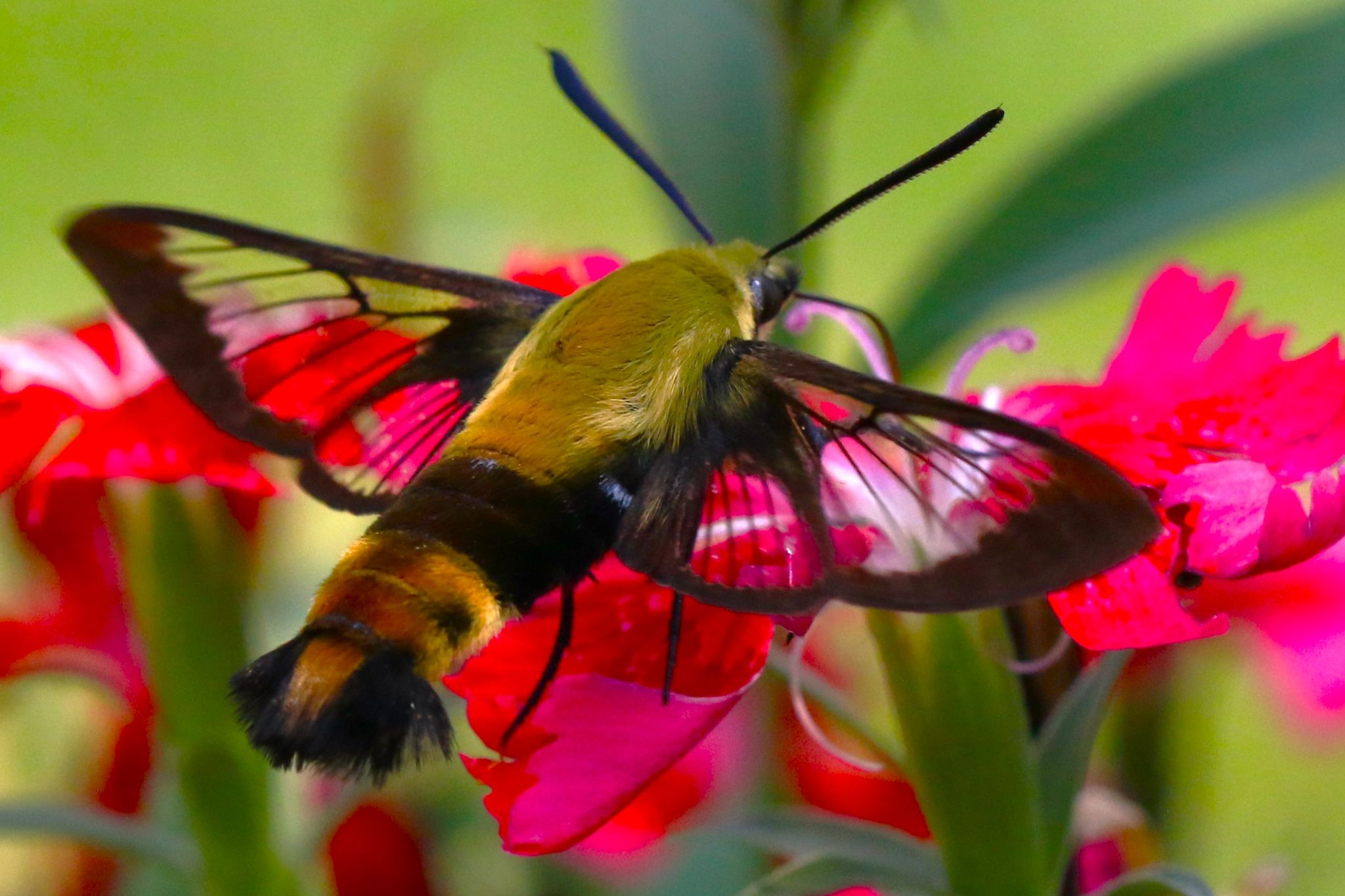 Community photo by Bill