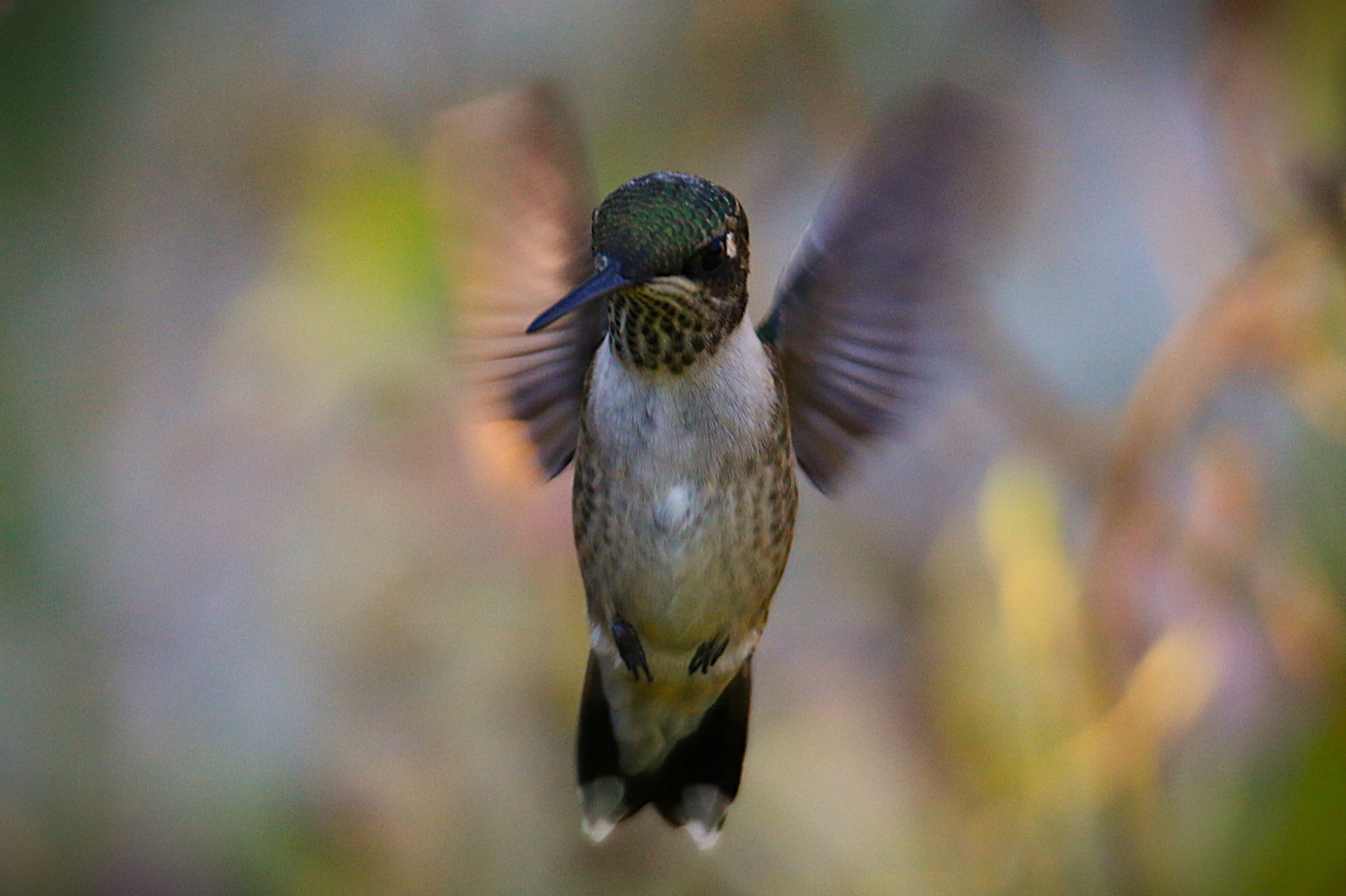 Community photo by Bill