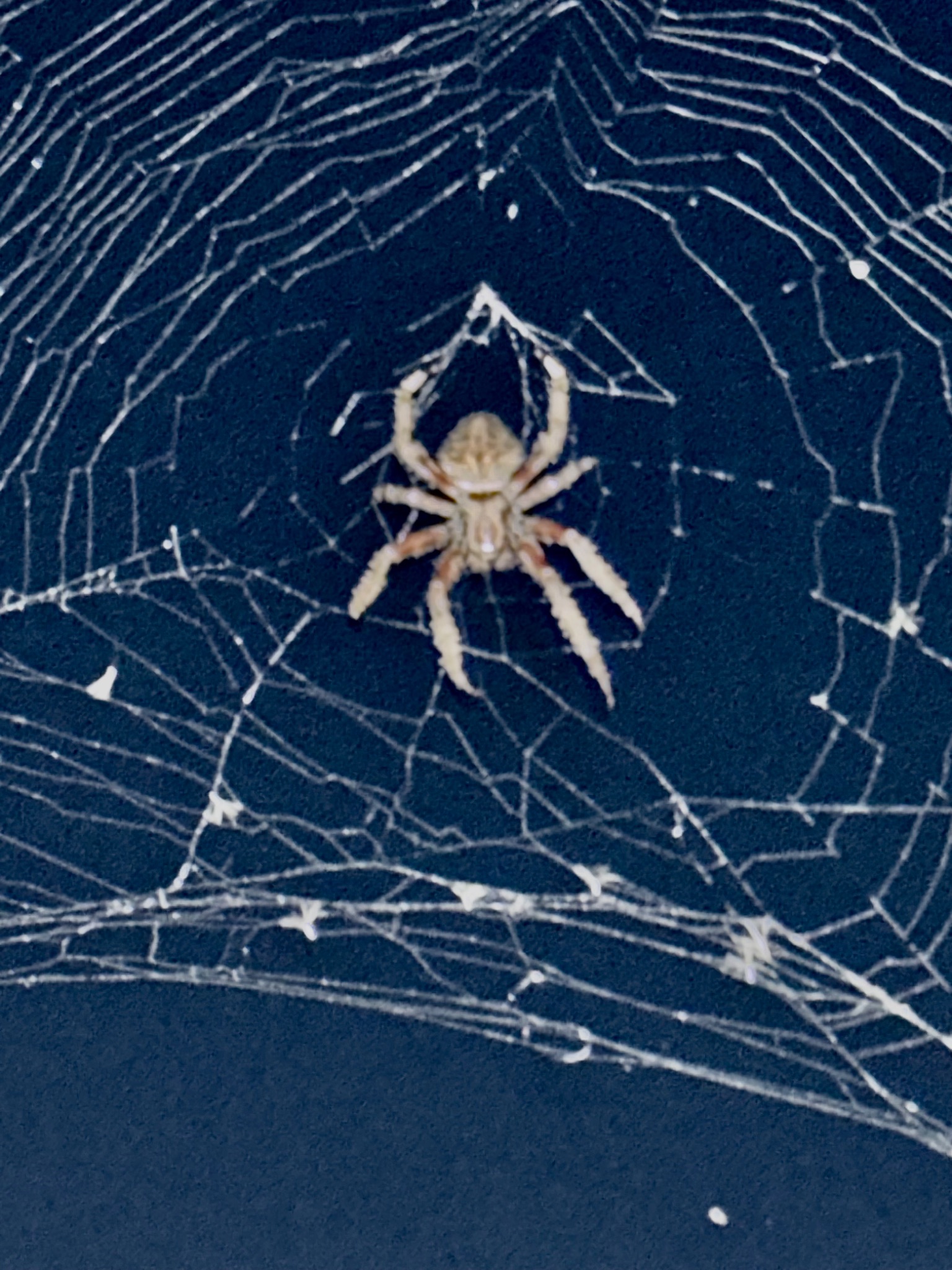 Community photo by Greg