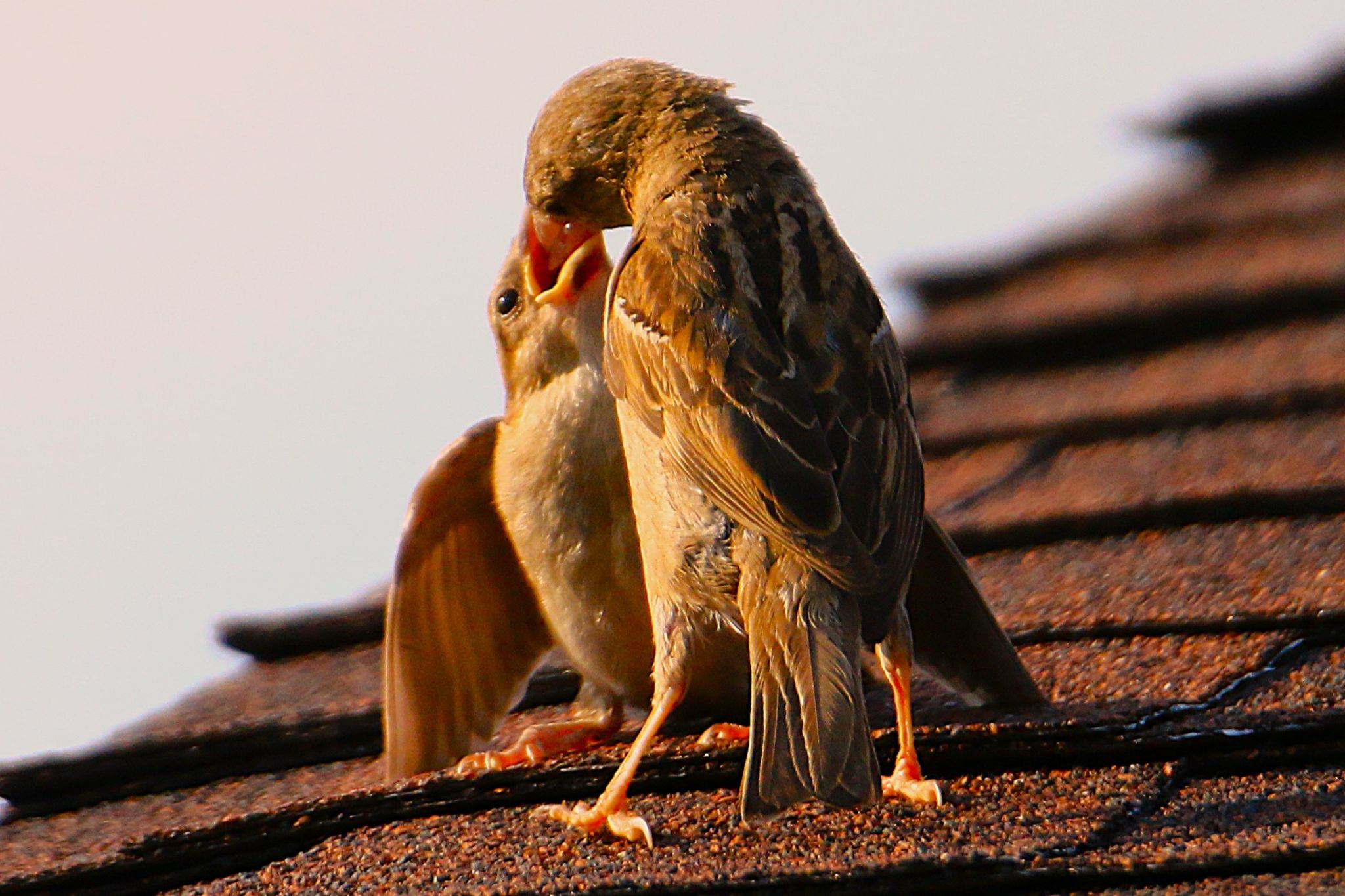 Community photo by Bill Kozar | Taylorsville, Indiana. USA