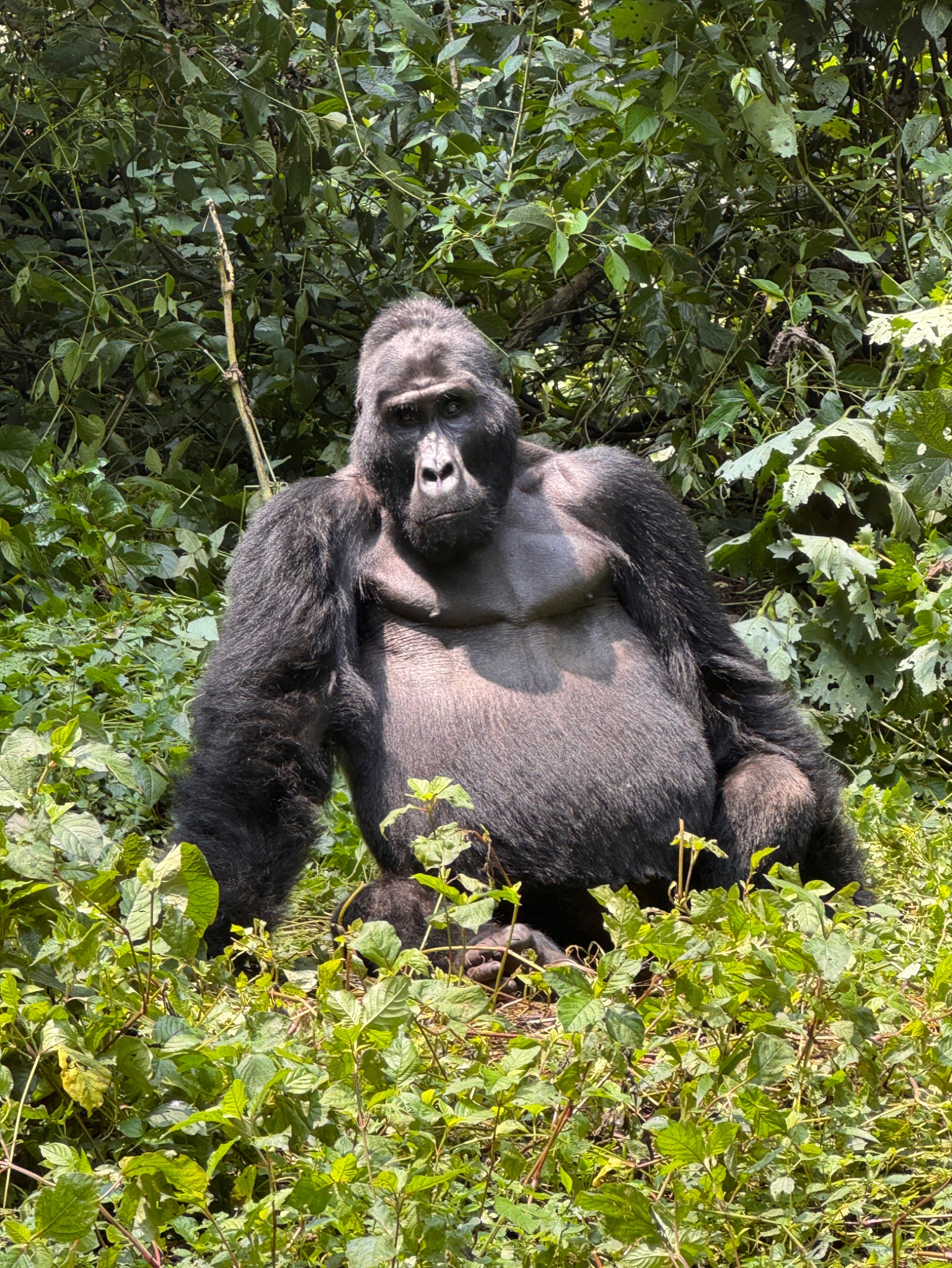 Community photo by Ailee