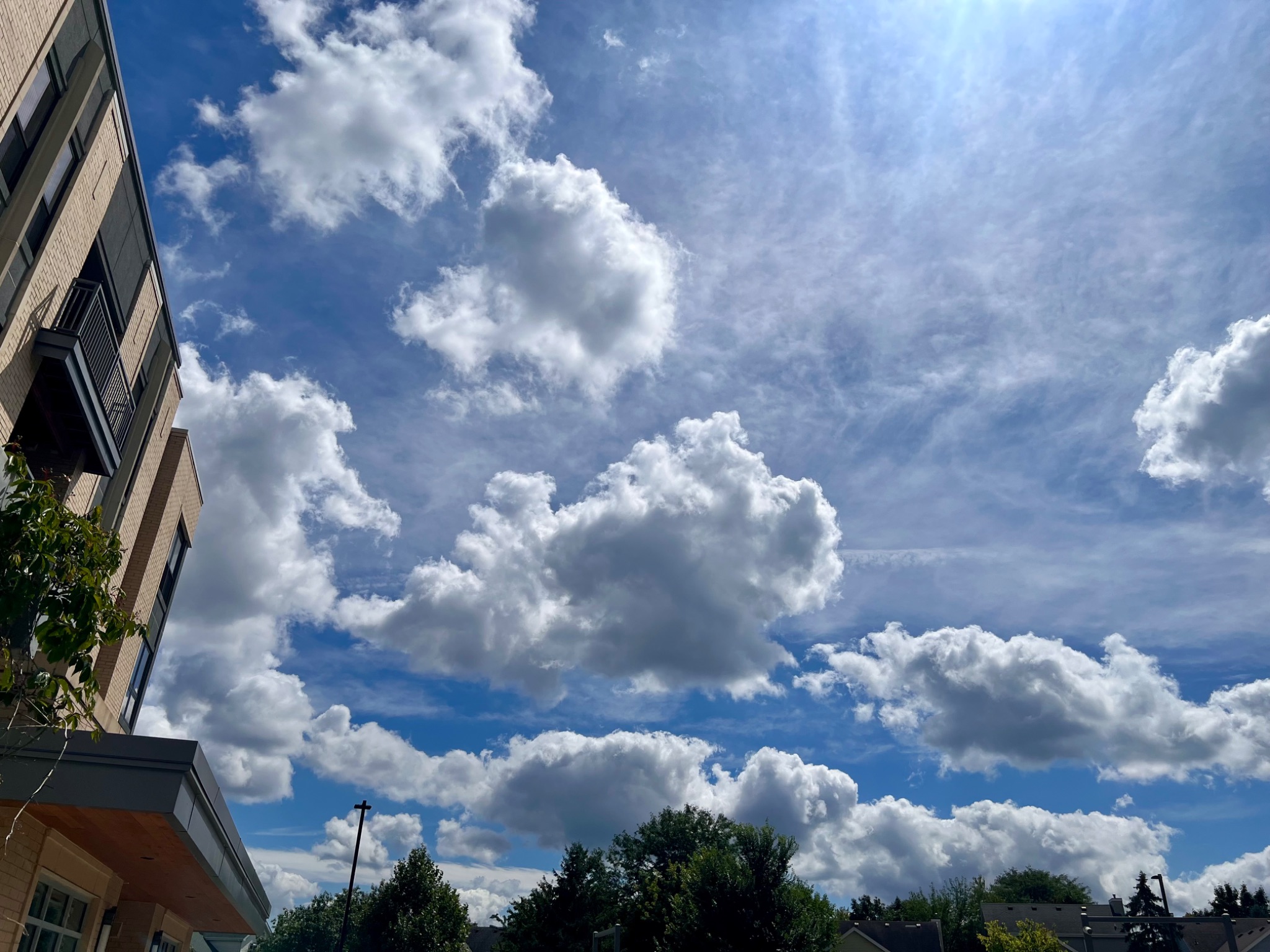 Community photo by Dolores Moreno | Middleton, WI