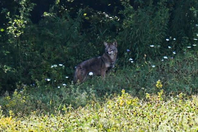 Community photo by Lorraine