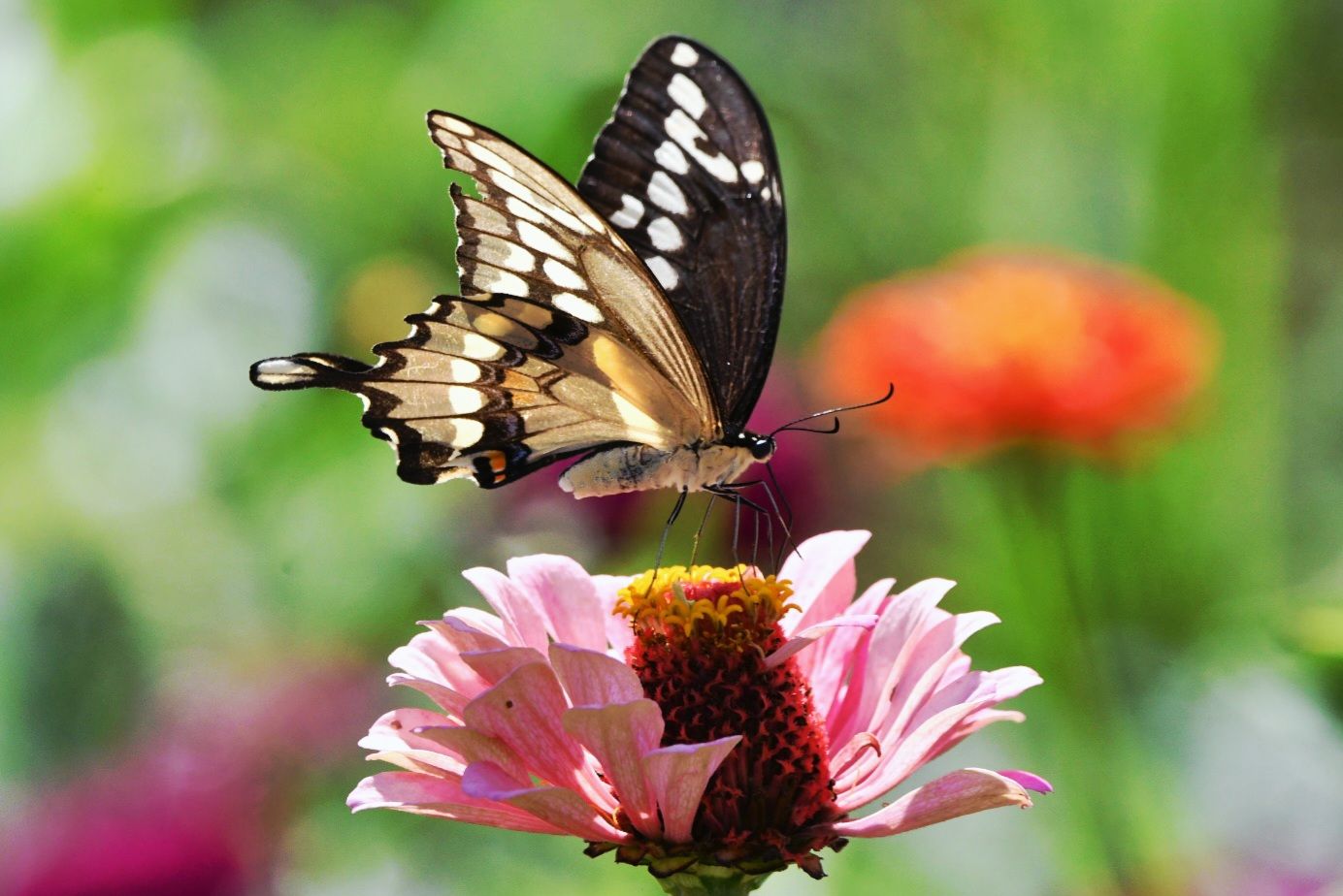 Community photo by Lorraine