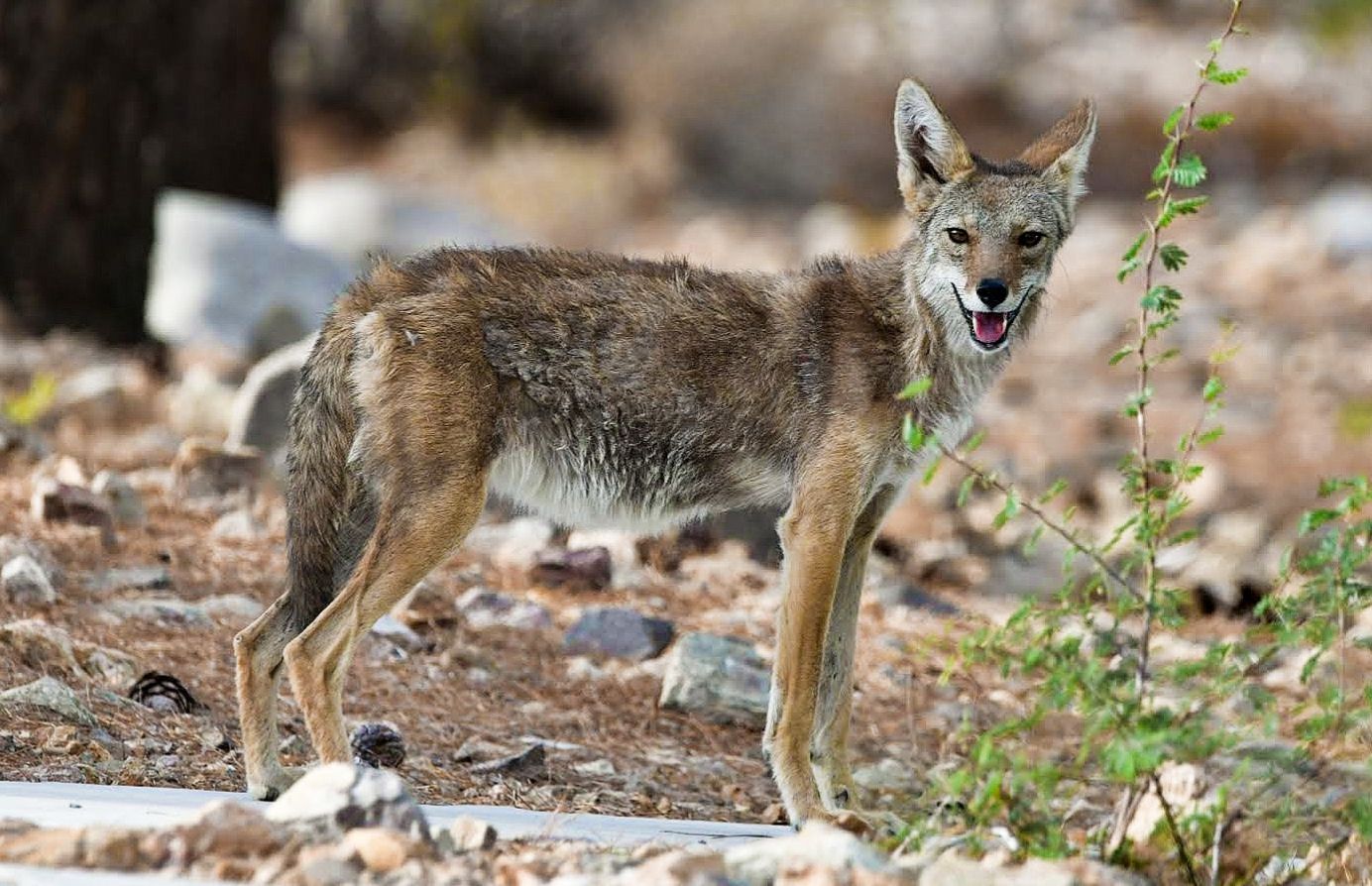 Community photo by Lorraine