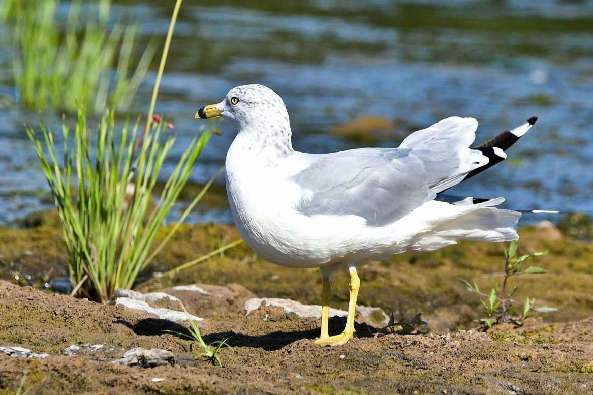 Community photo by Lorraine