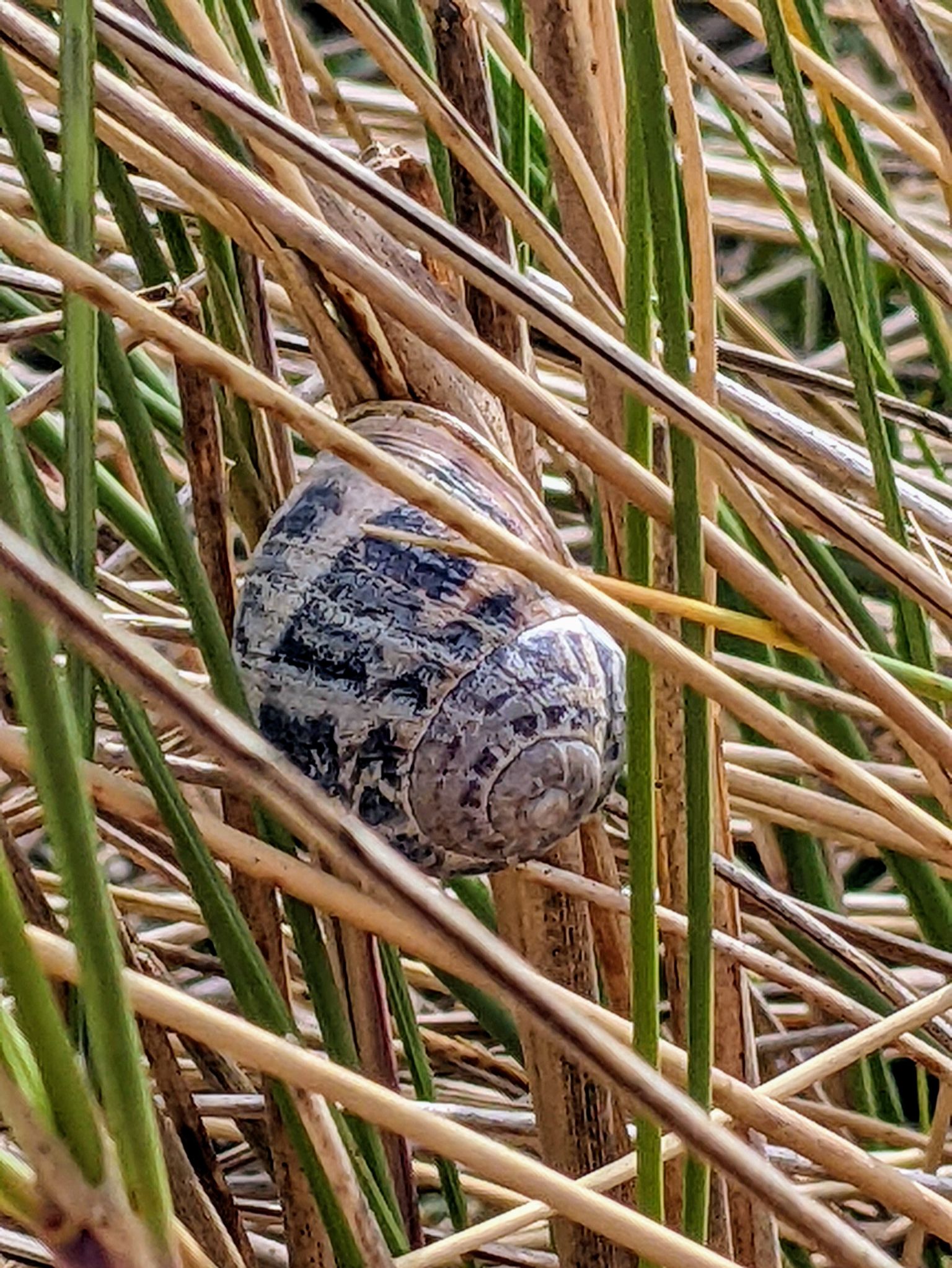 Community photo by Kevan