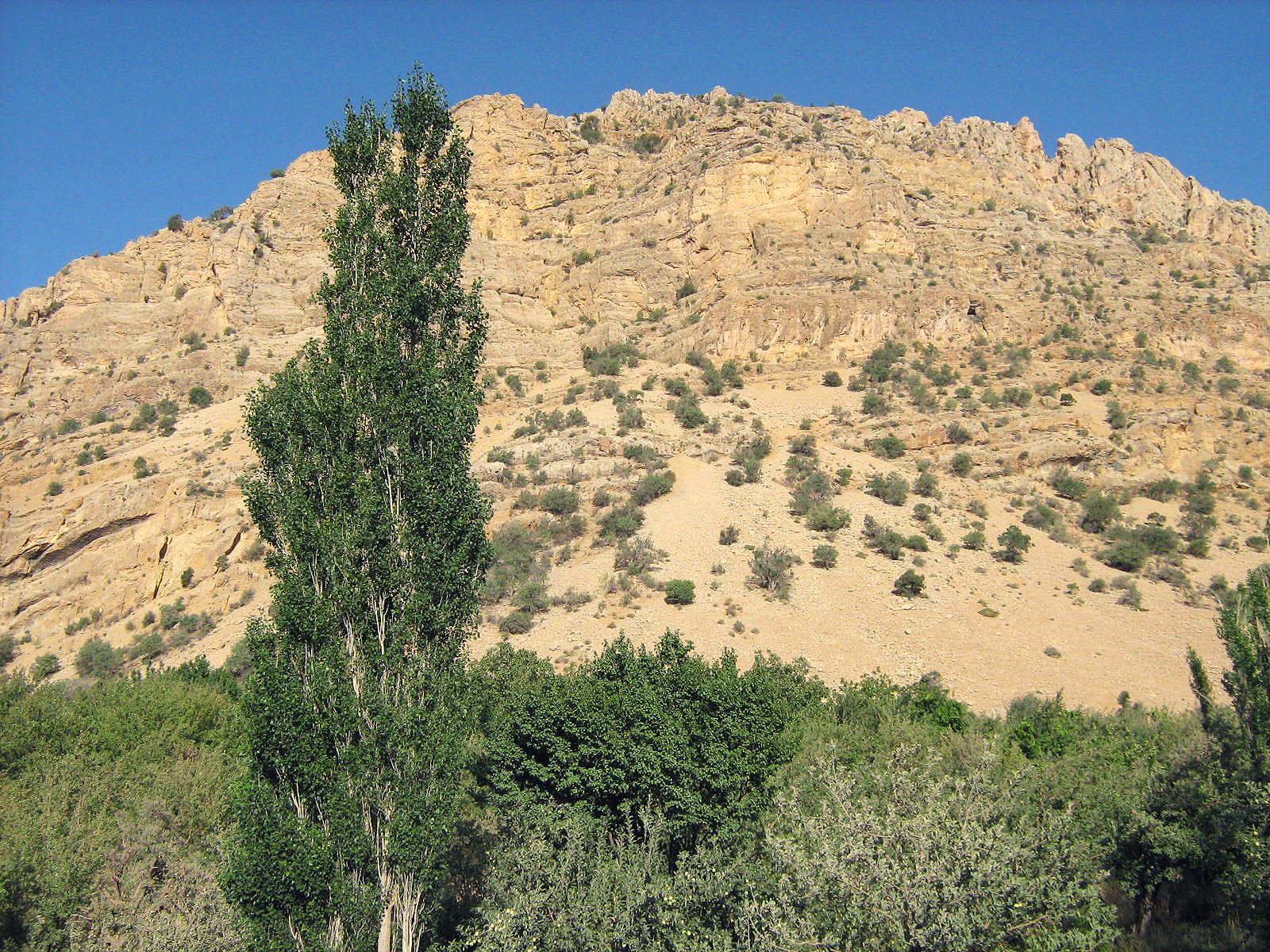 Community photo by Hassan