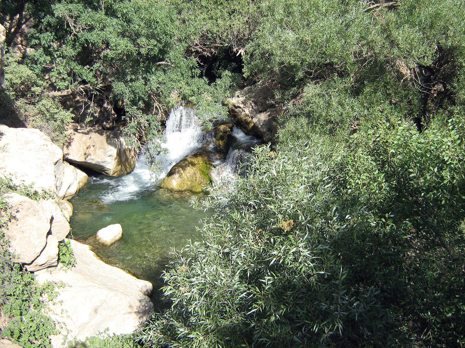 Community photo by Hassan