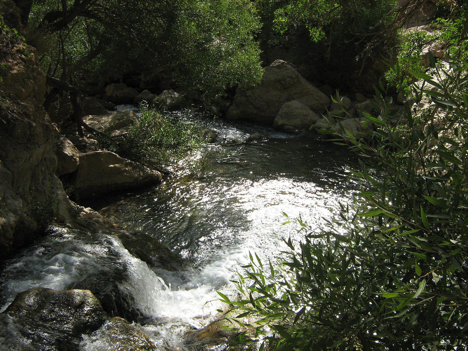 Community photo by Hassan