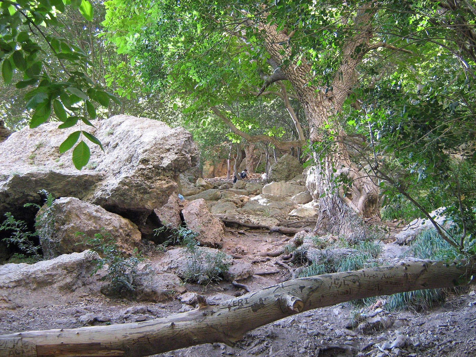 Community photo by Hassan