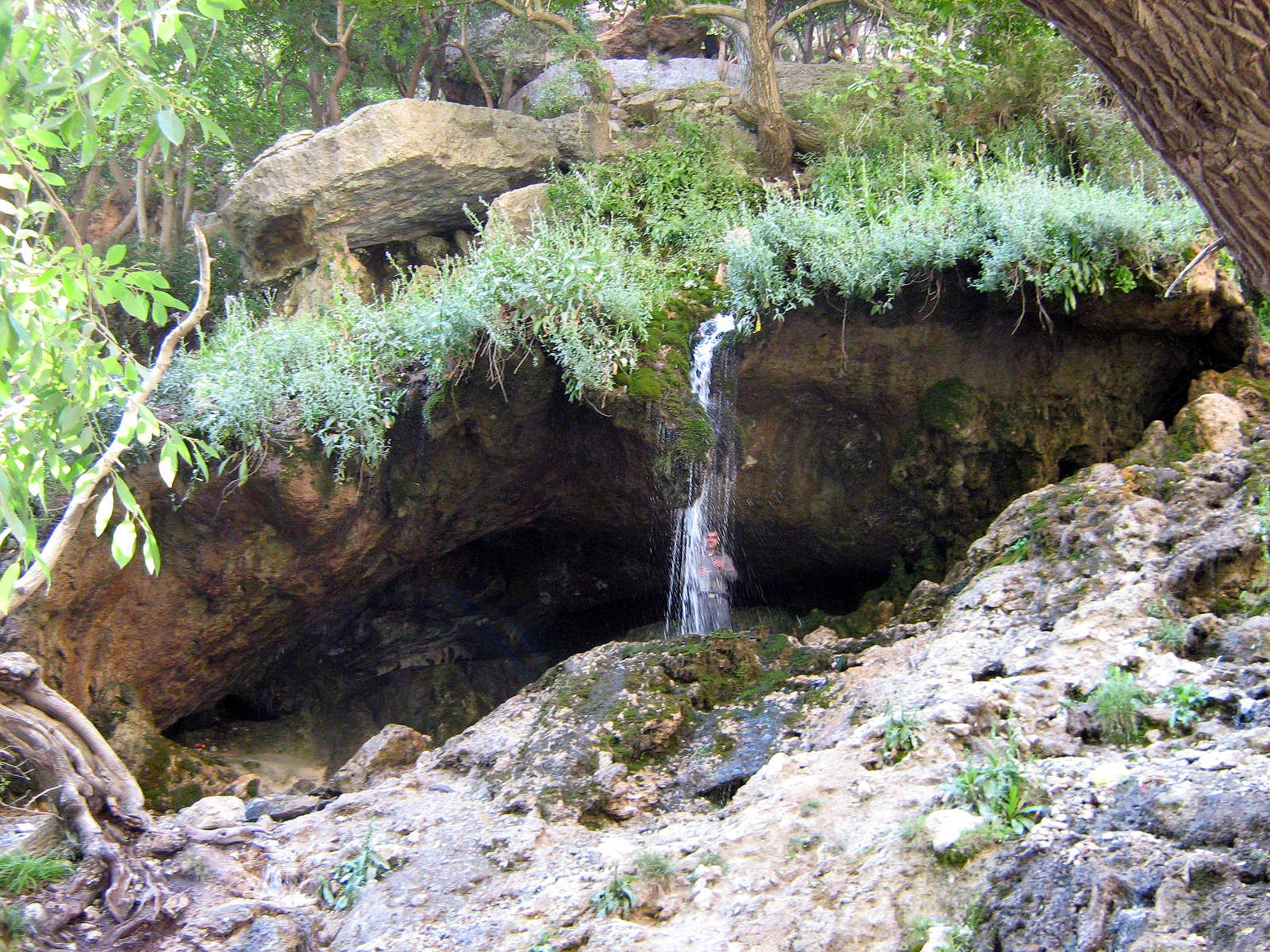 Community photo by Hassan