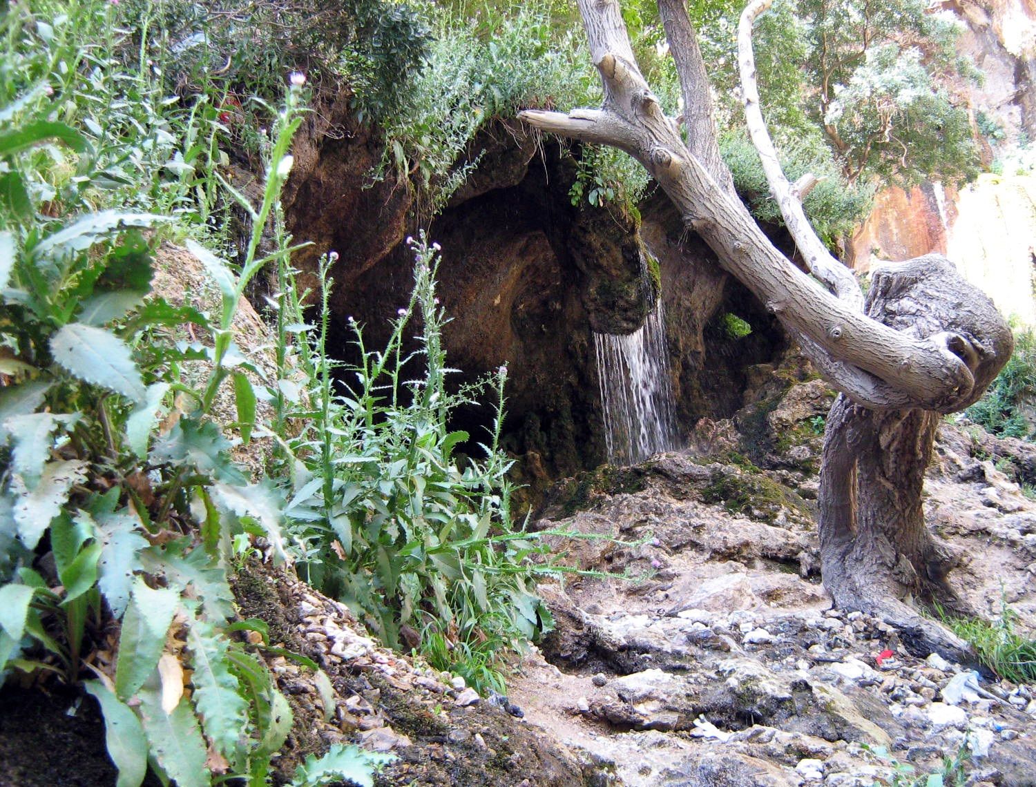 Community photo by Hassan