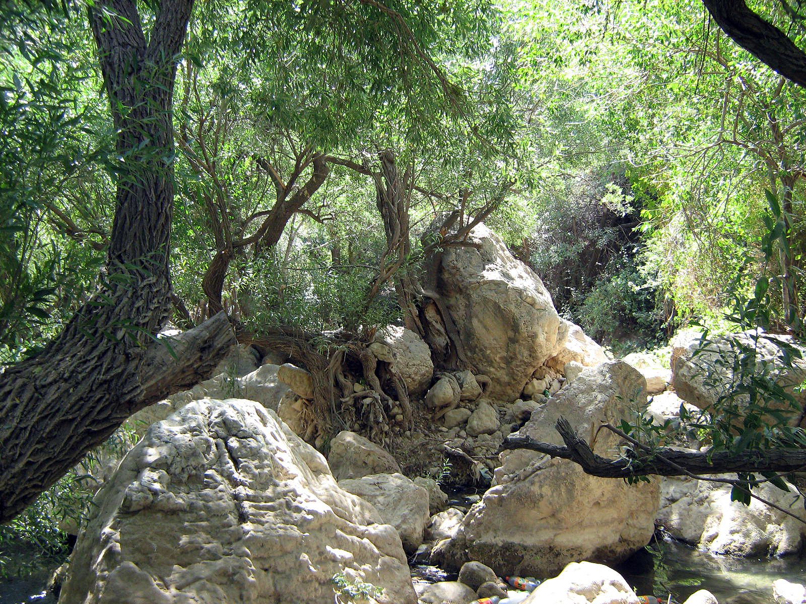 Community photo by Hassan