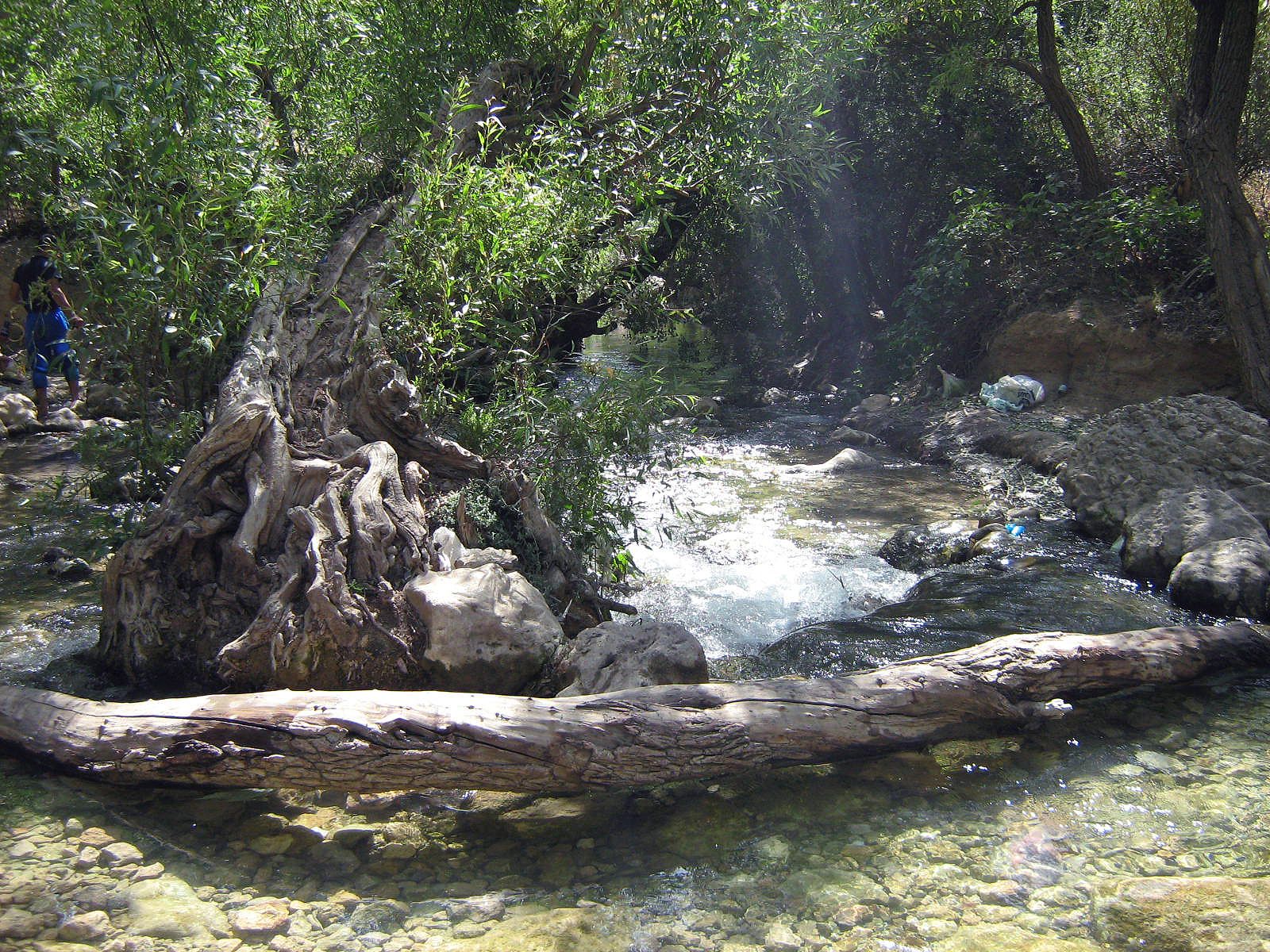 Community photo by Hassan