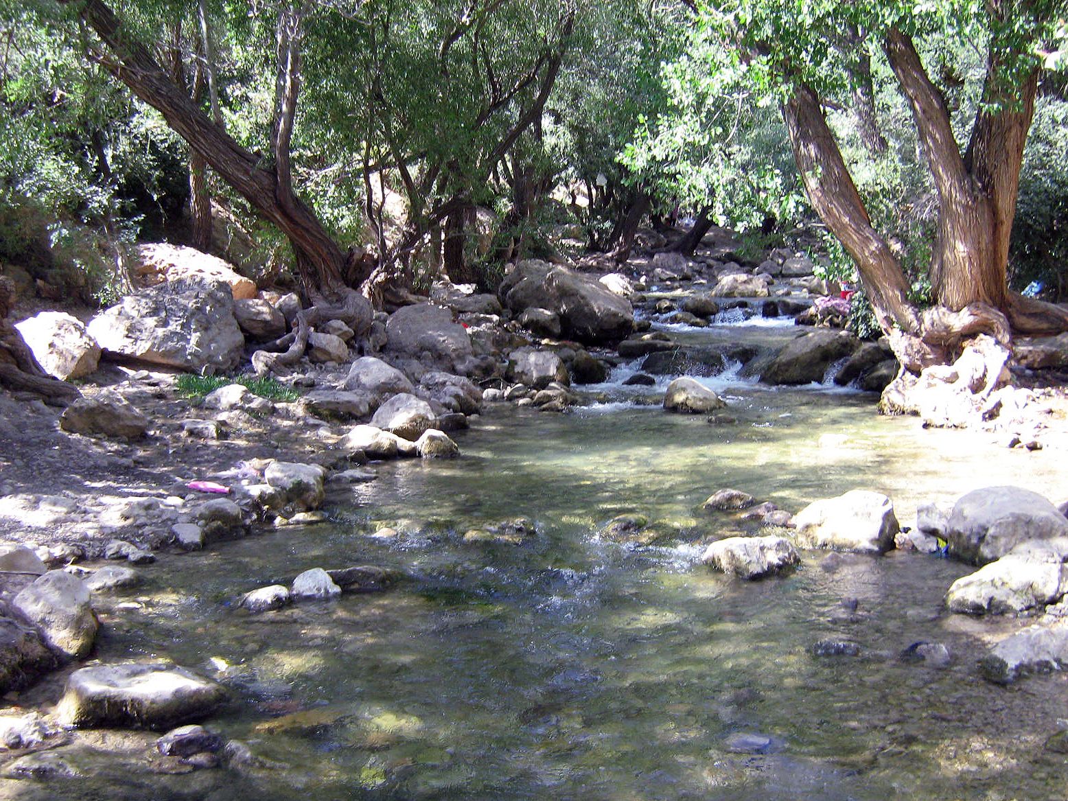 Community photo by Hassan