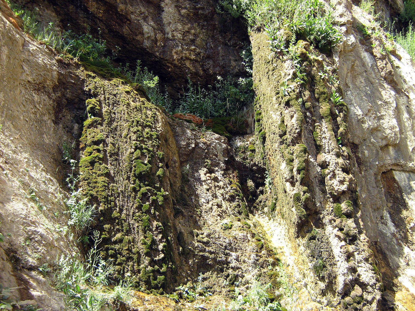 Community photo by Hassan