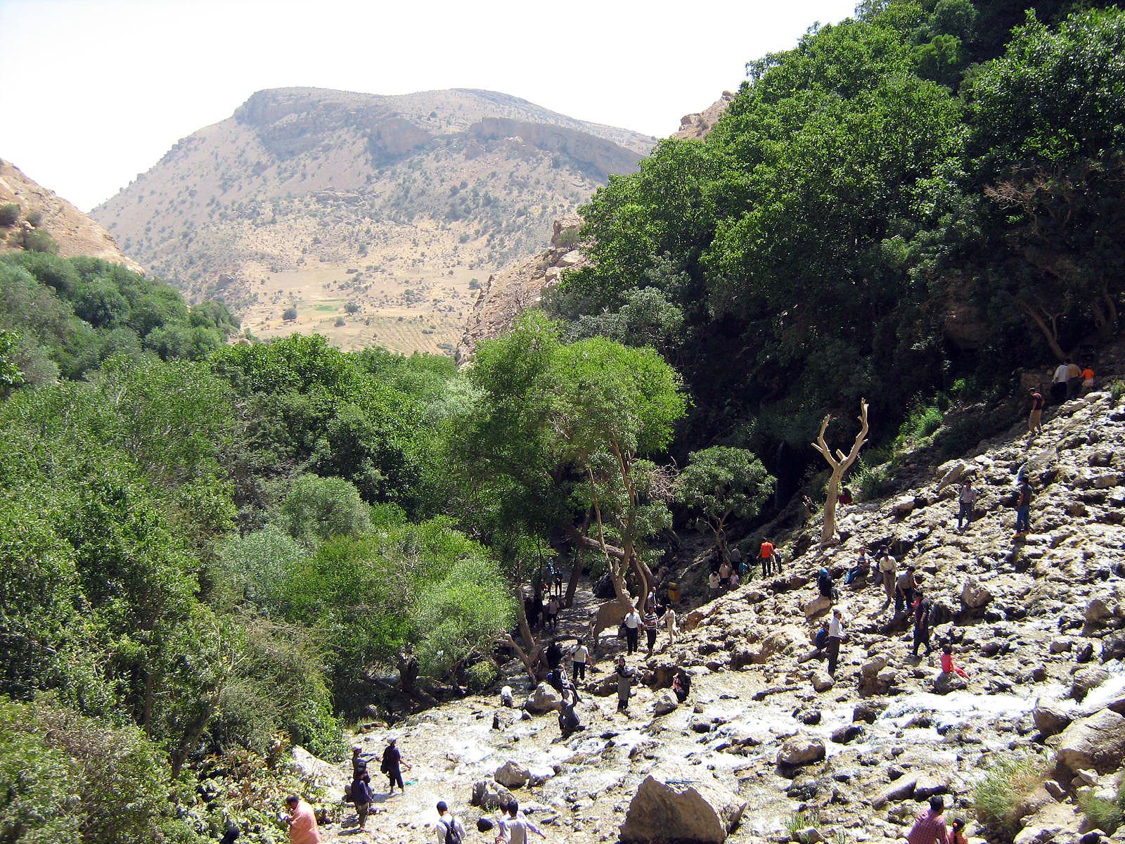 Community photo by Hassan Dadashi  Arani | Fars province. Iran