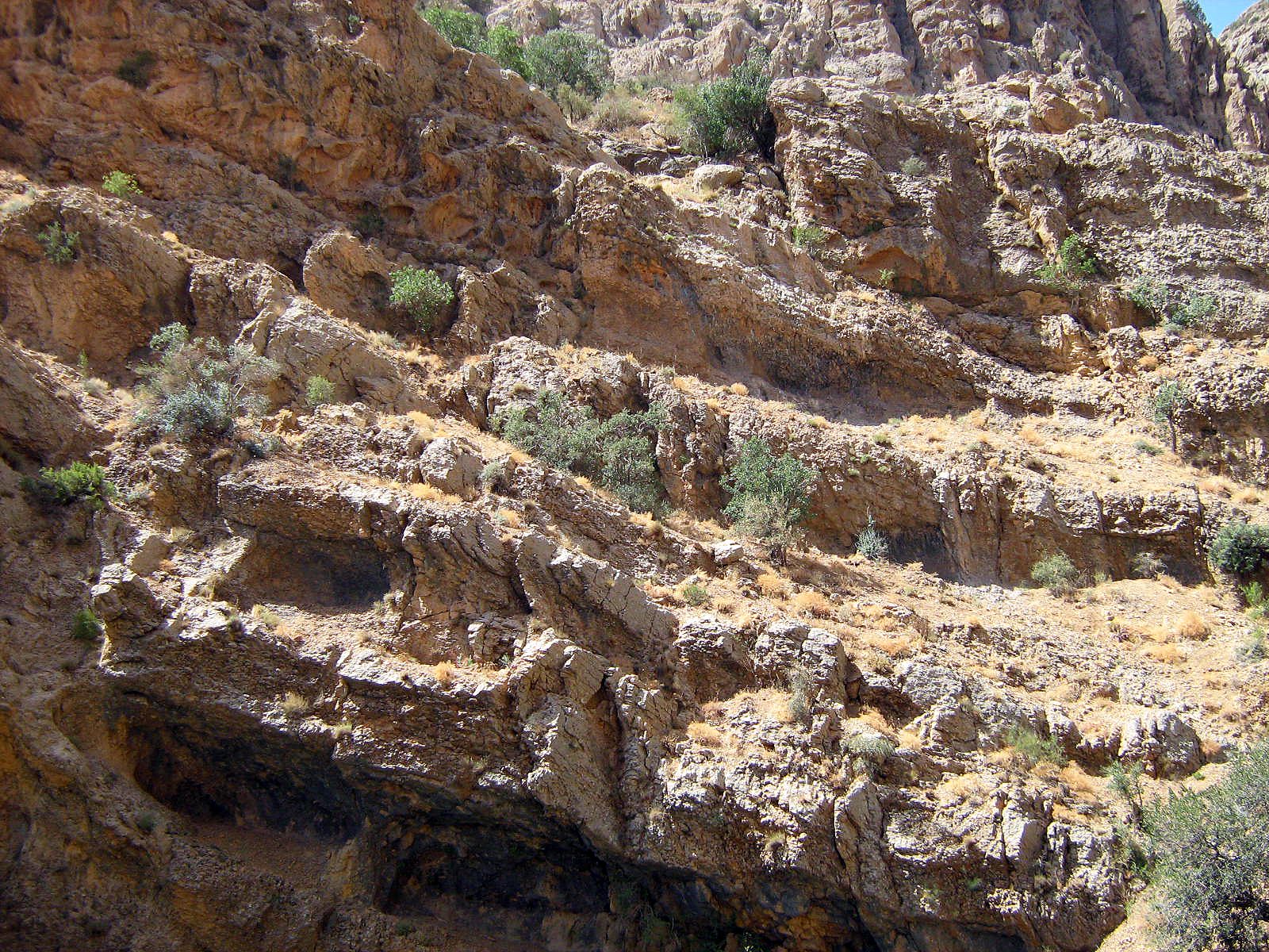 Community photo by Hassan