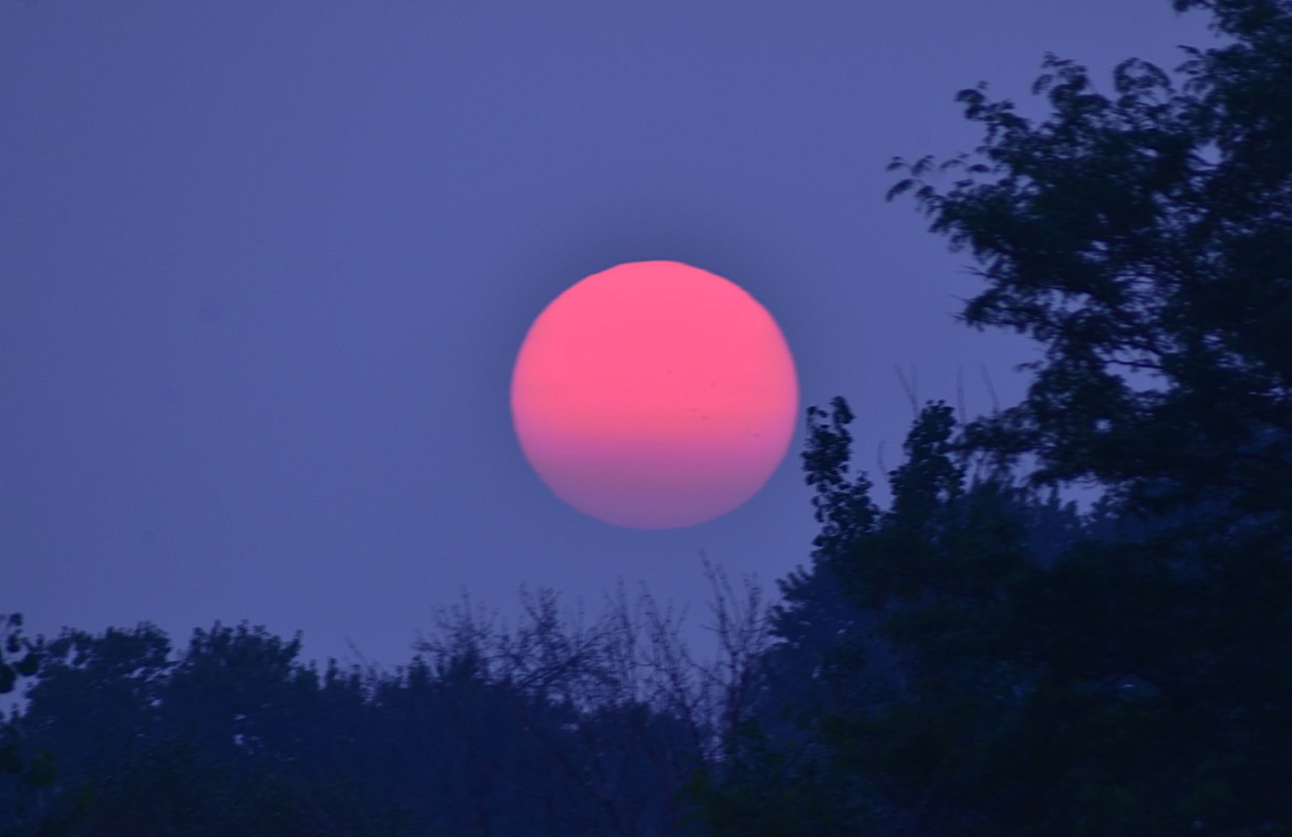 Community photo by Asha