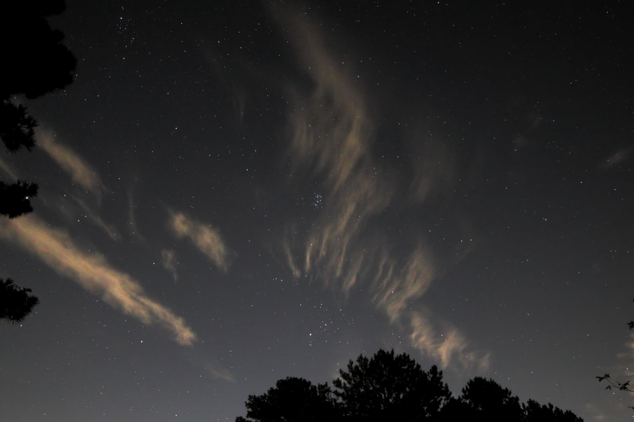 Community photo entitled The Pleaides, Taurus and clouds by Steven Bellavia on 08/28/2025 at Smithfield, VA