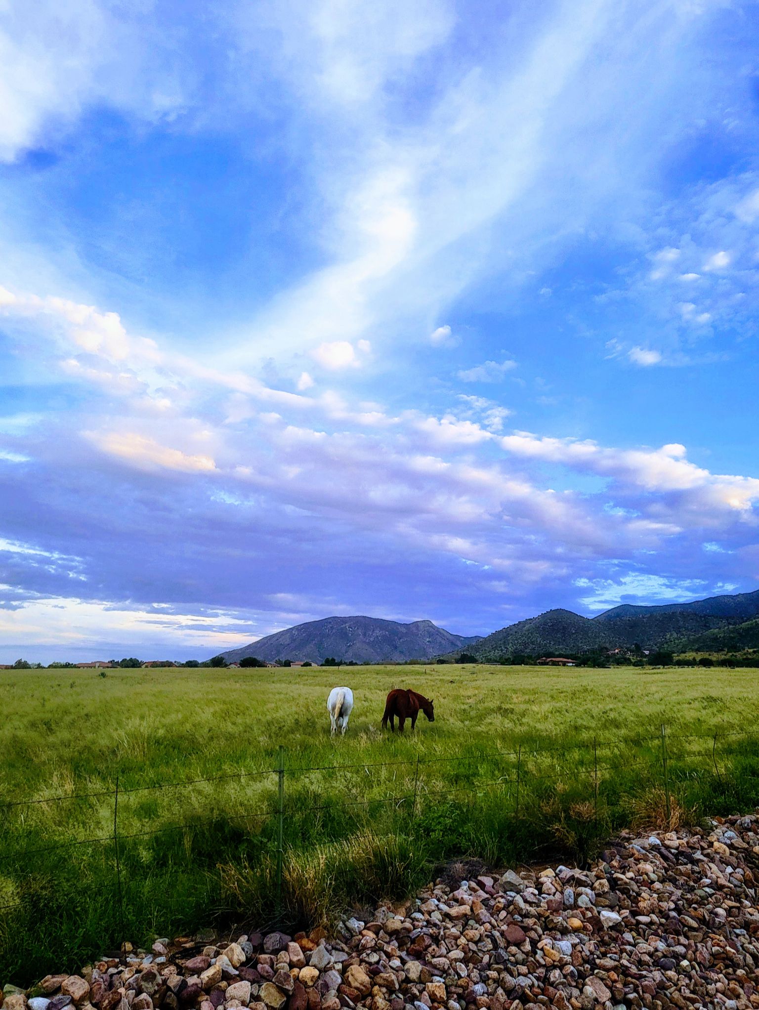 Community photo by Mark