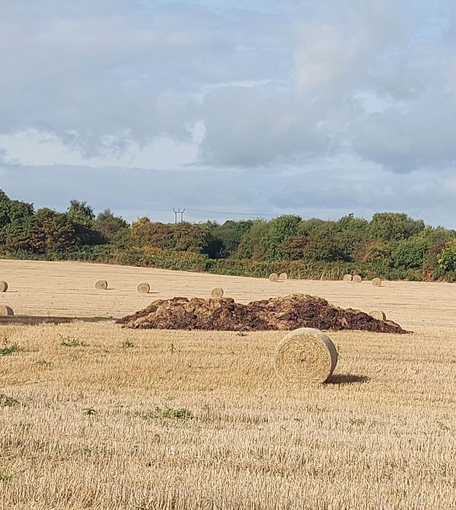 Community photo by Anne Read | Billinge England