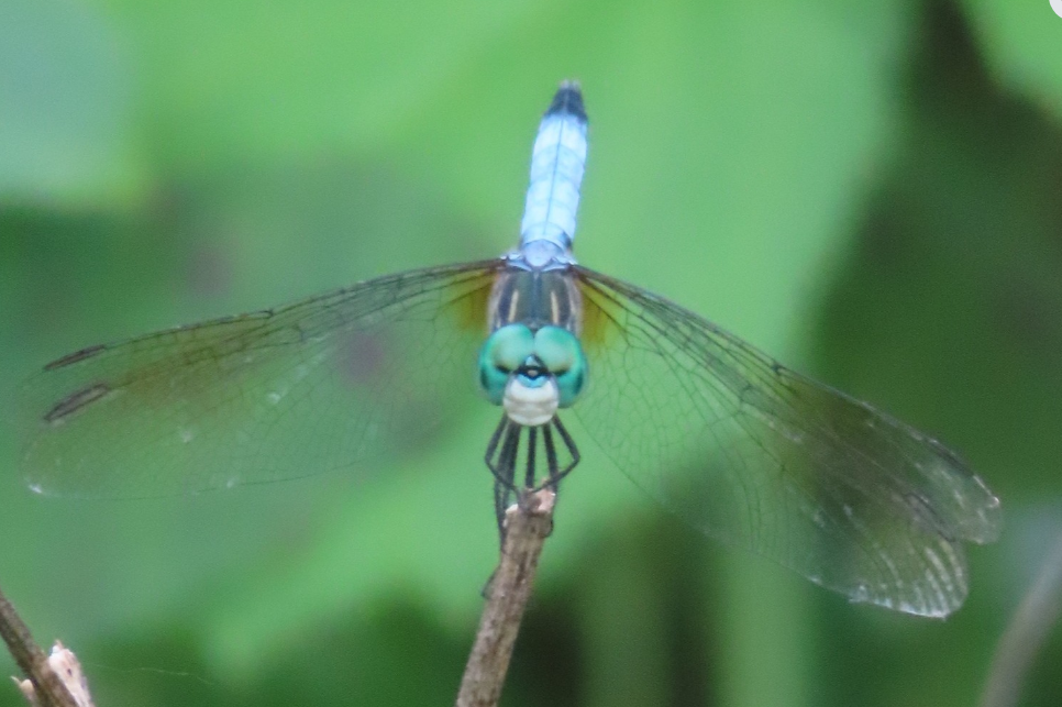 Community photo by Shelly