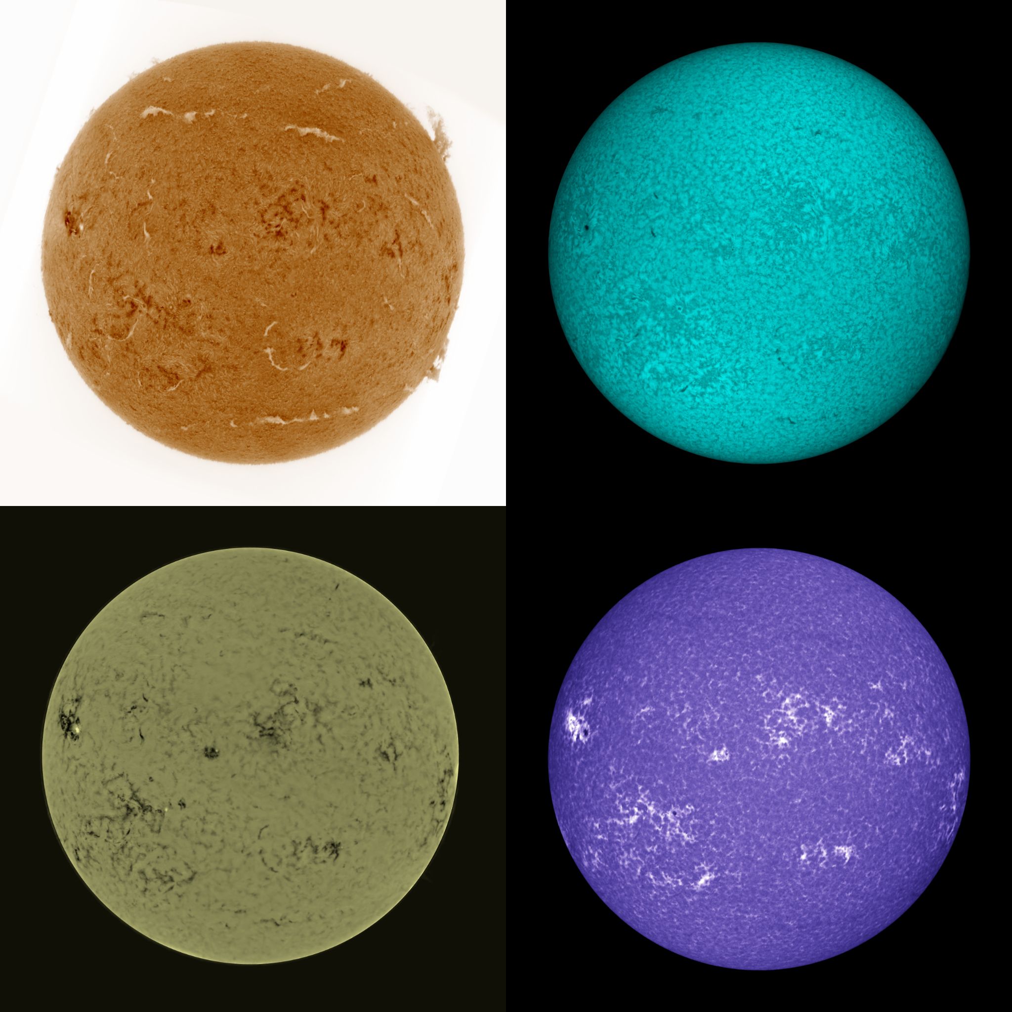 Community photo by Mario