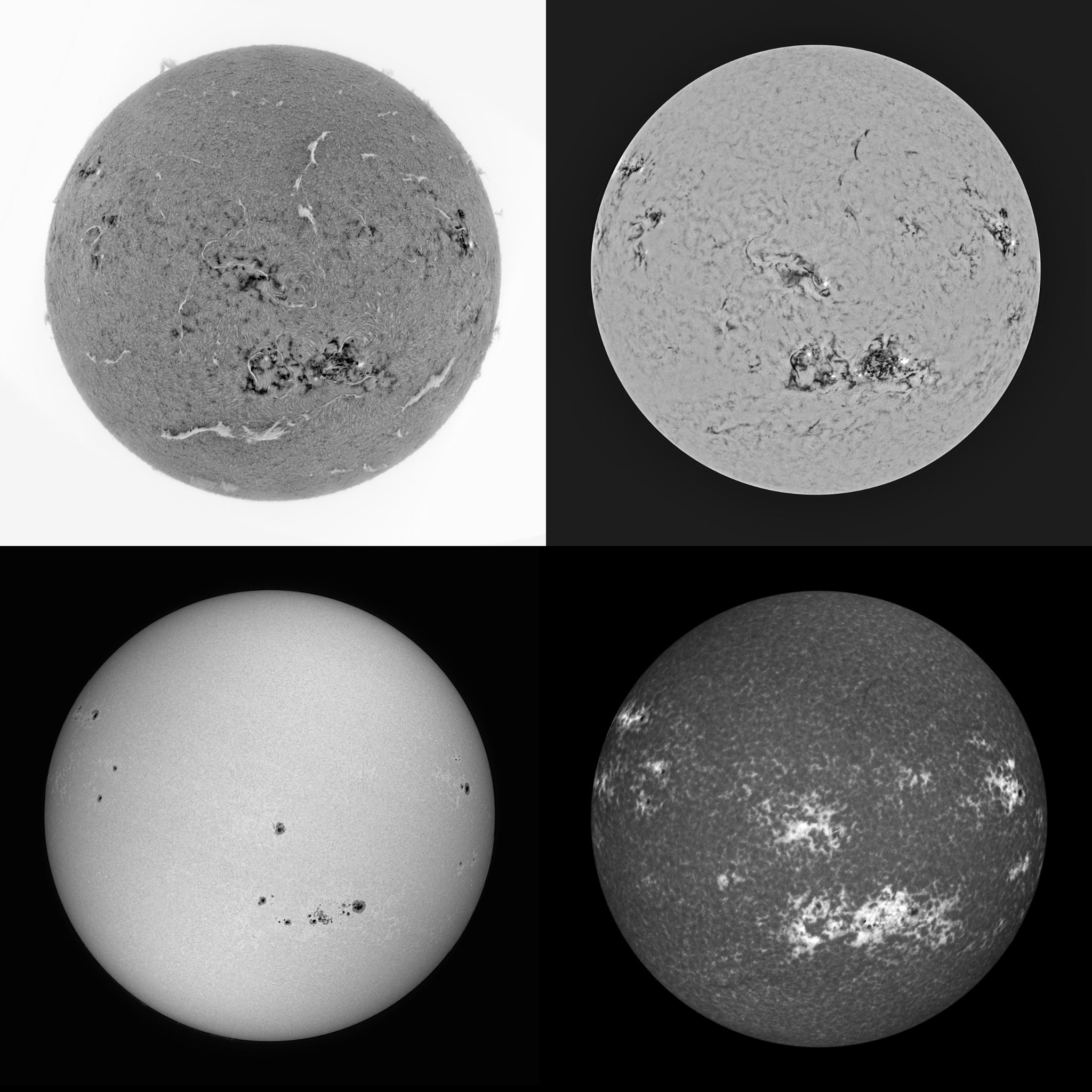 Community photo entitled  by Mario Rana on 08/31/2025 at Hampton, Virginia