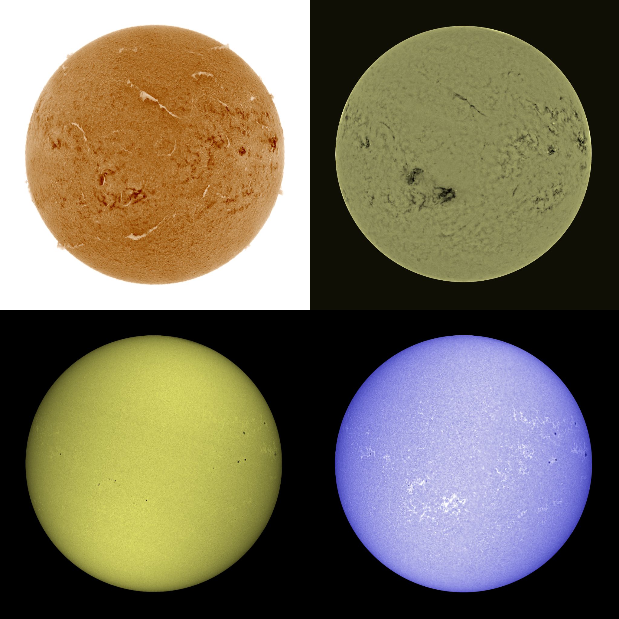 Community photo by Mario