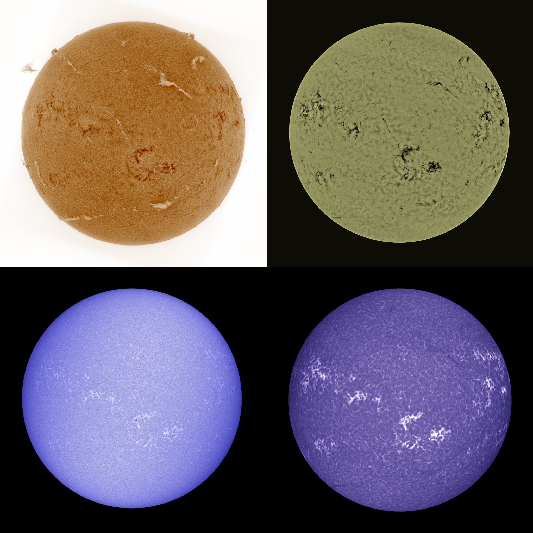 Community photo by Mario