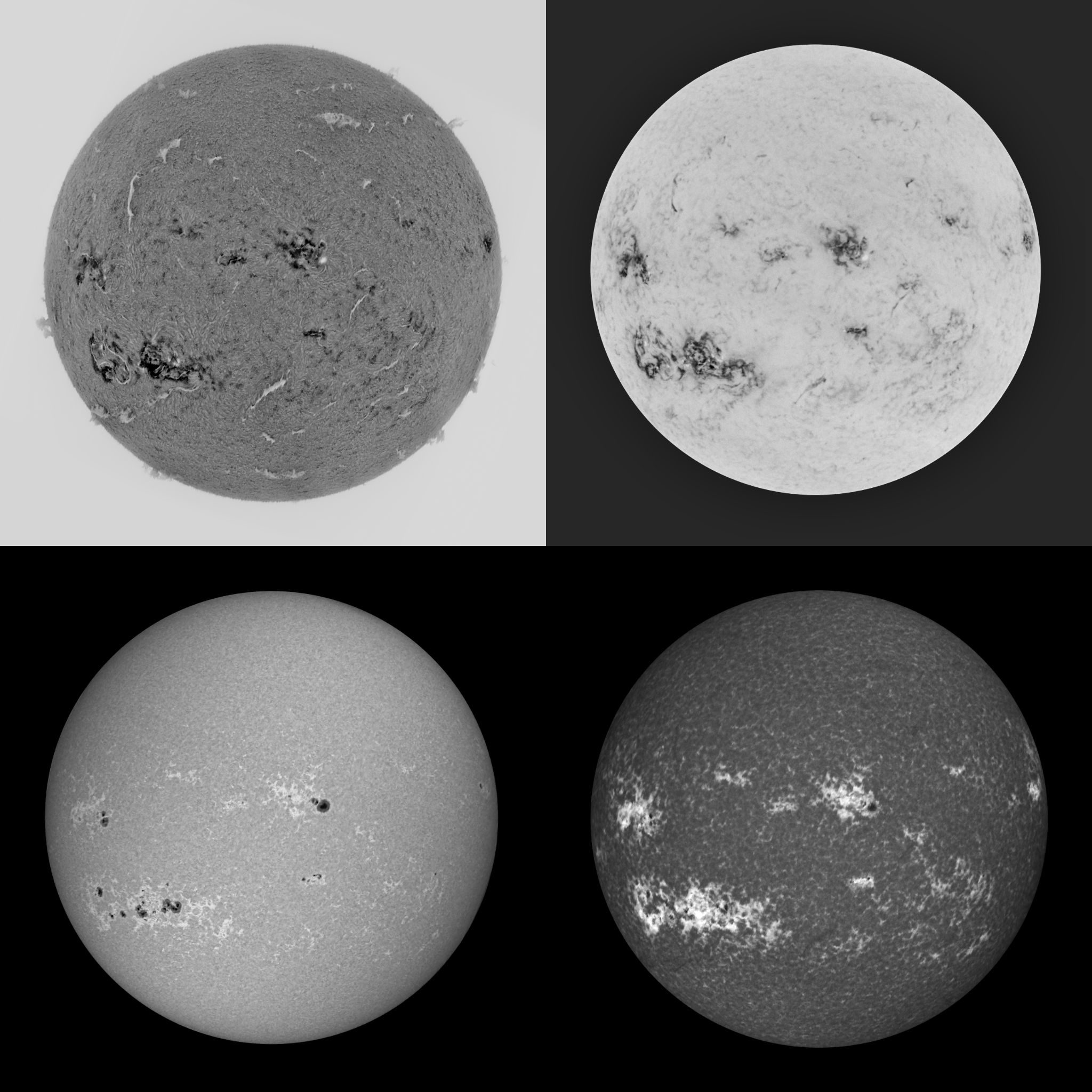 Community photo by Mario