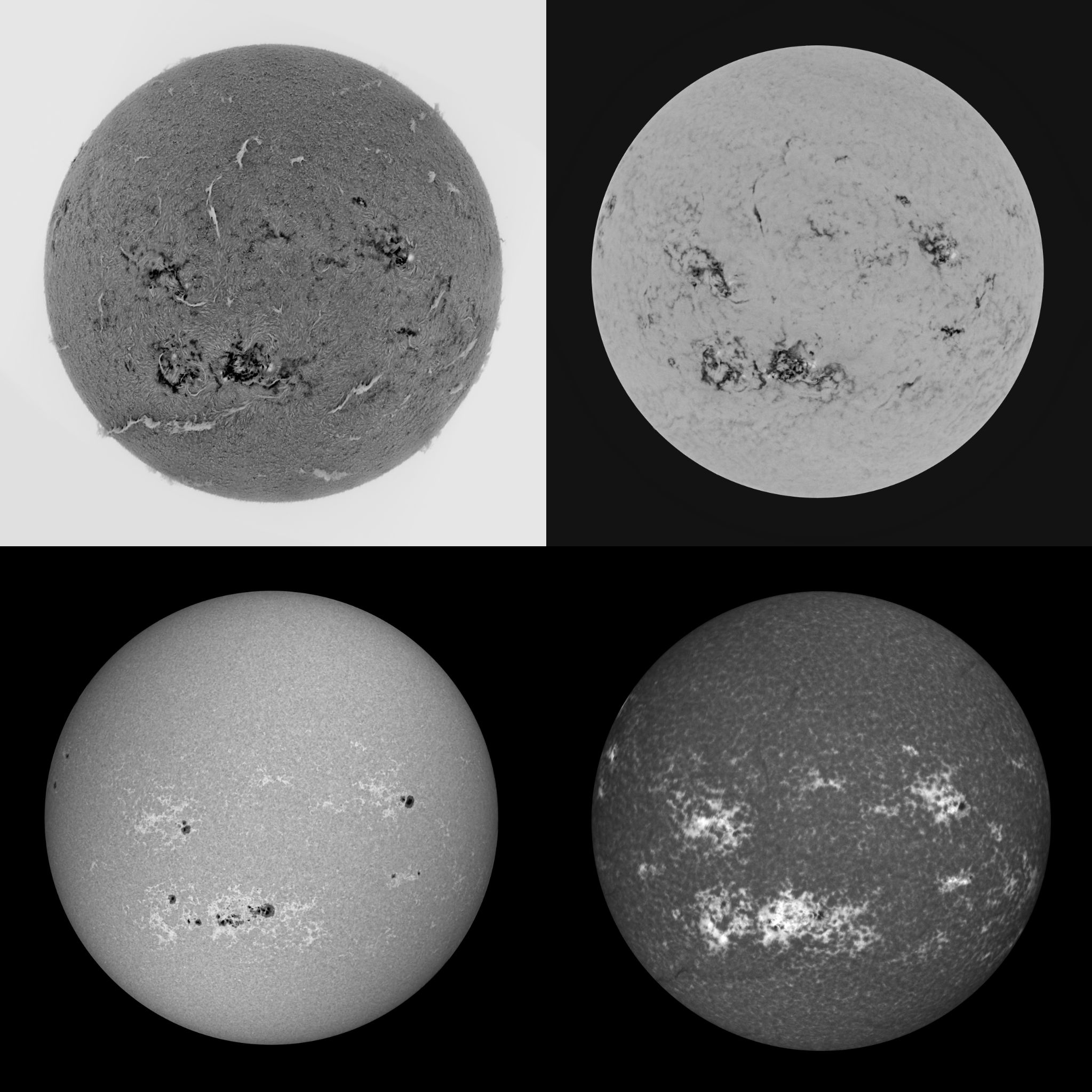 Community photo by Mario