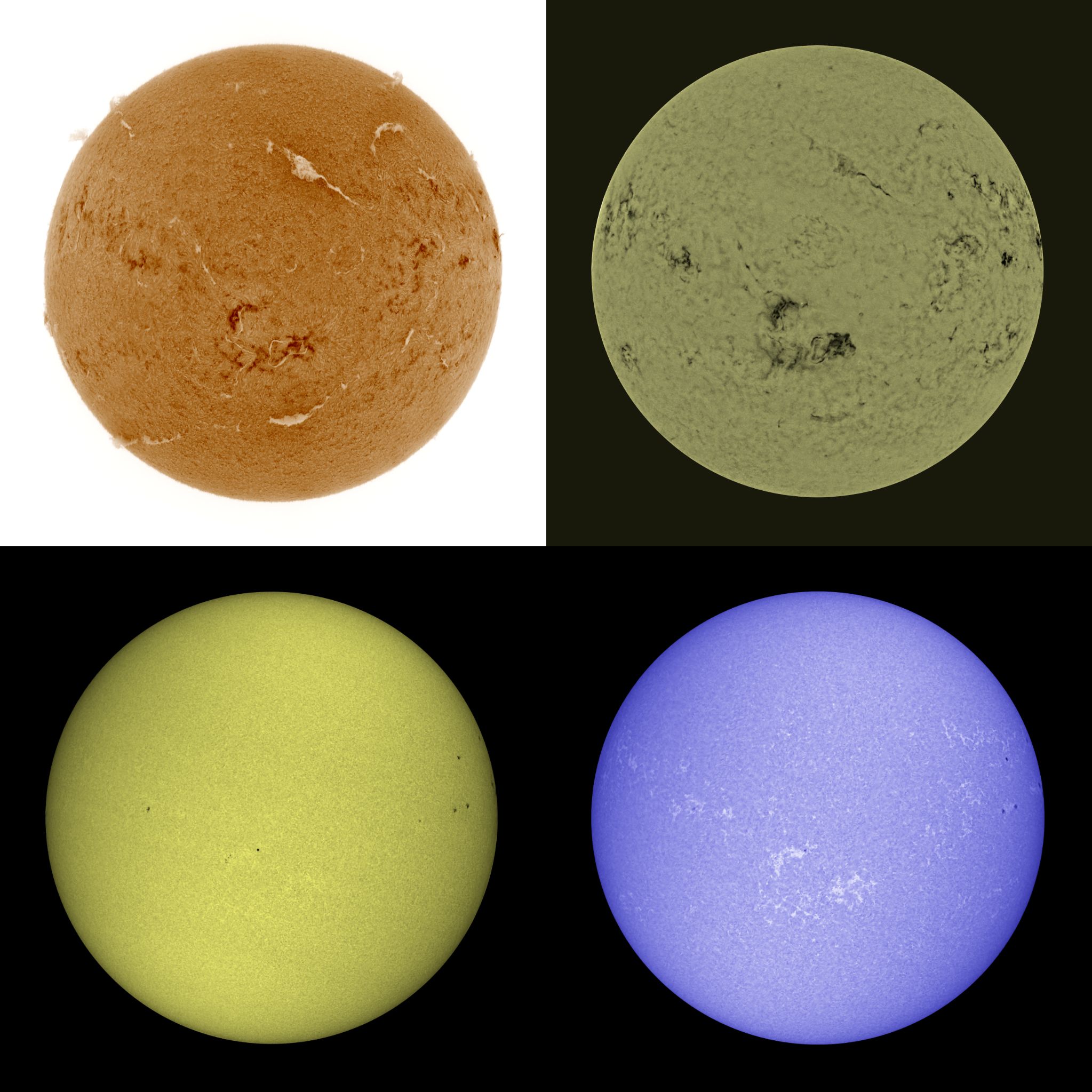 Community photo by Mario