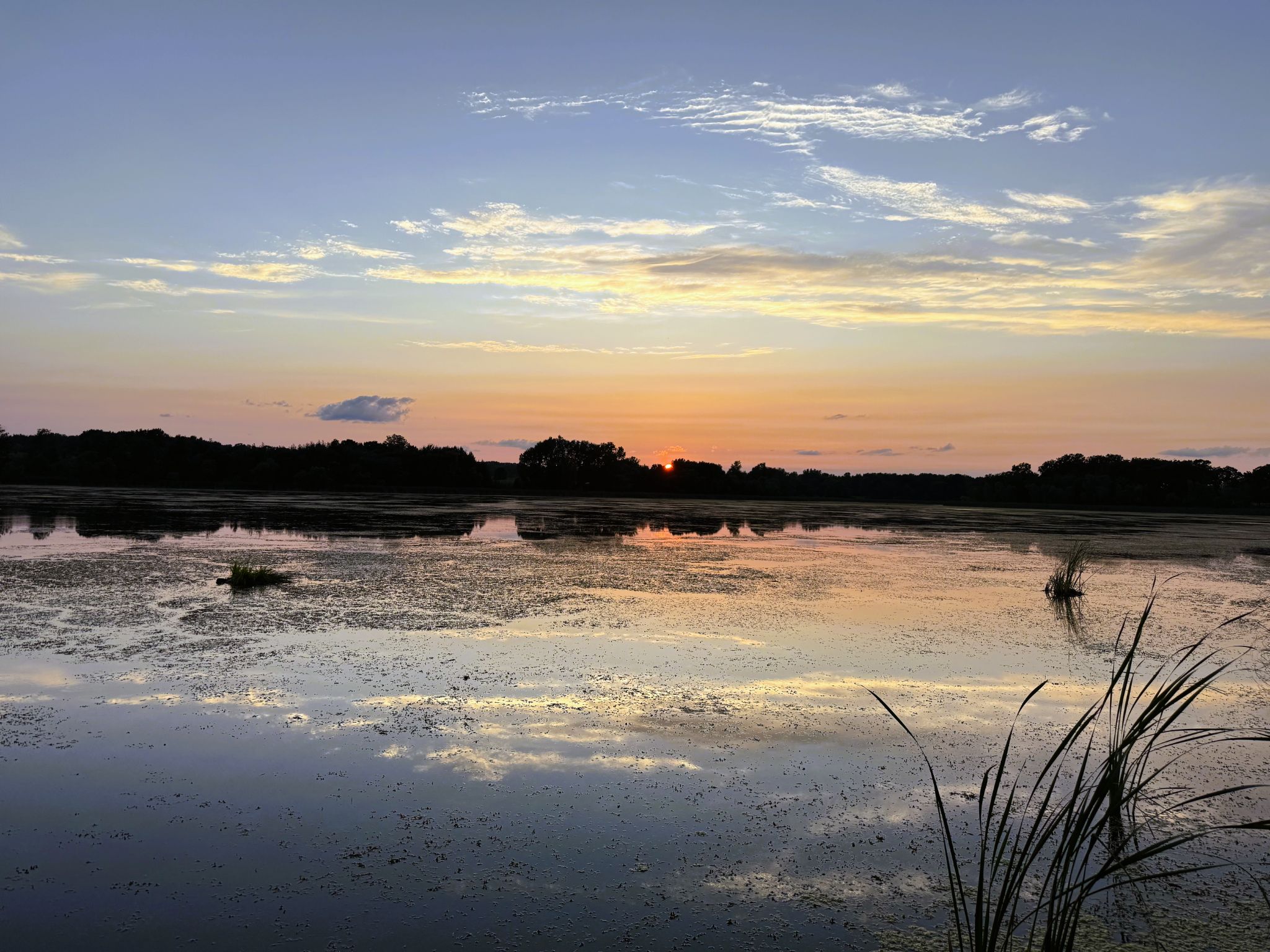 Community photo by Asha