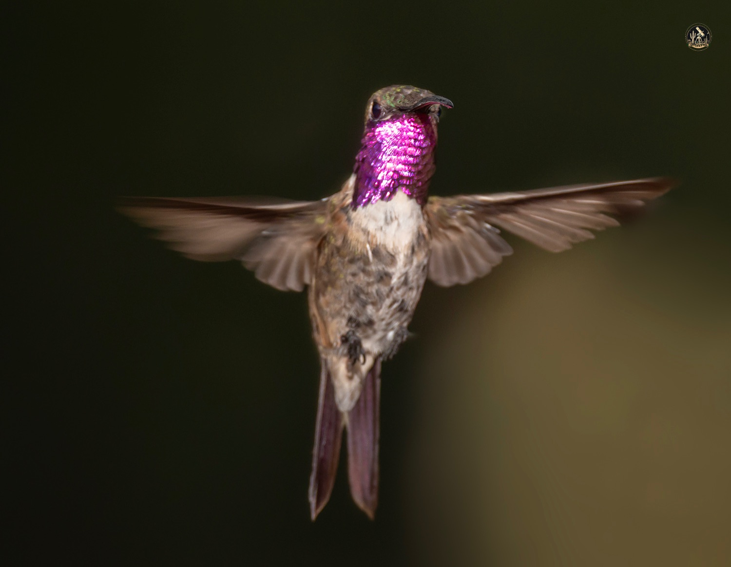 Community photo by Jelieta