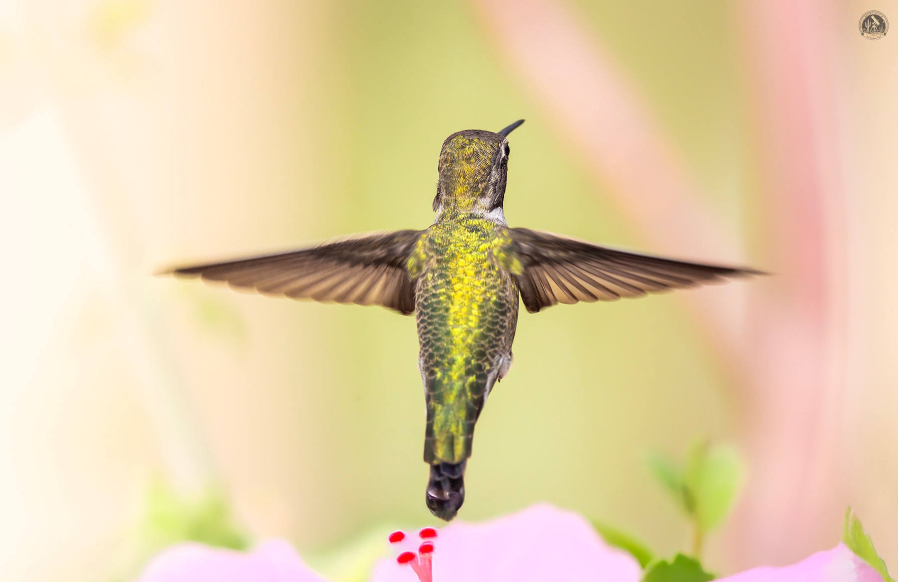 Community photo by Jelieta