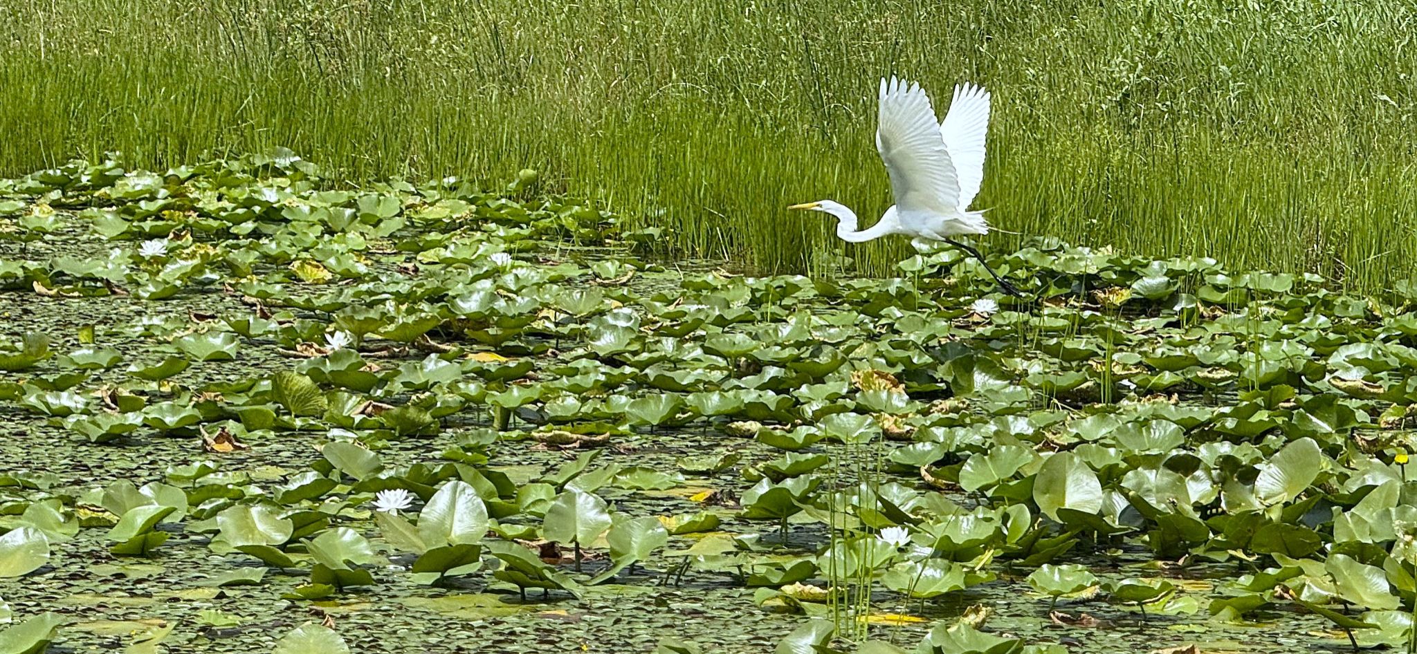 Community photo by Asha