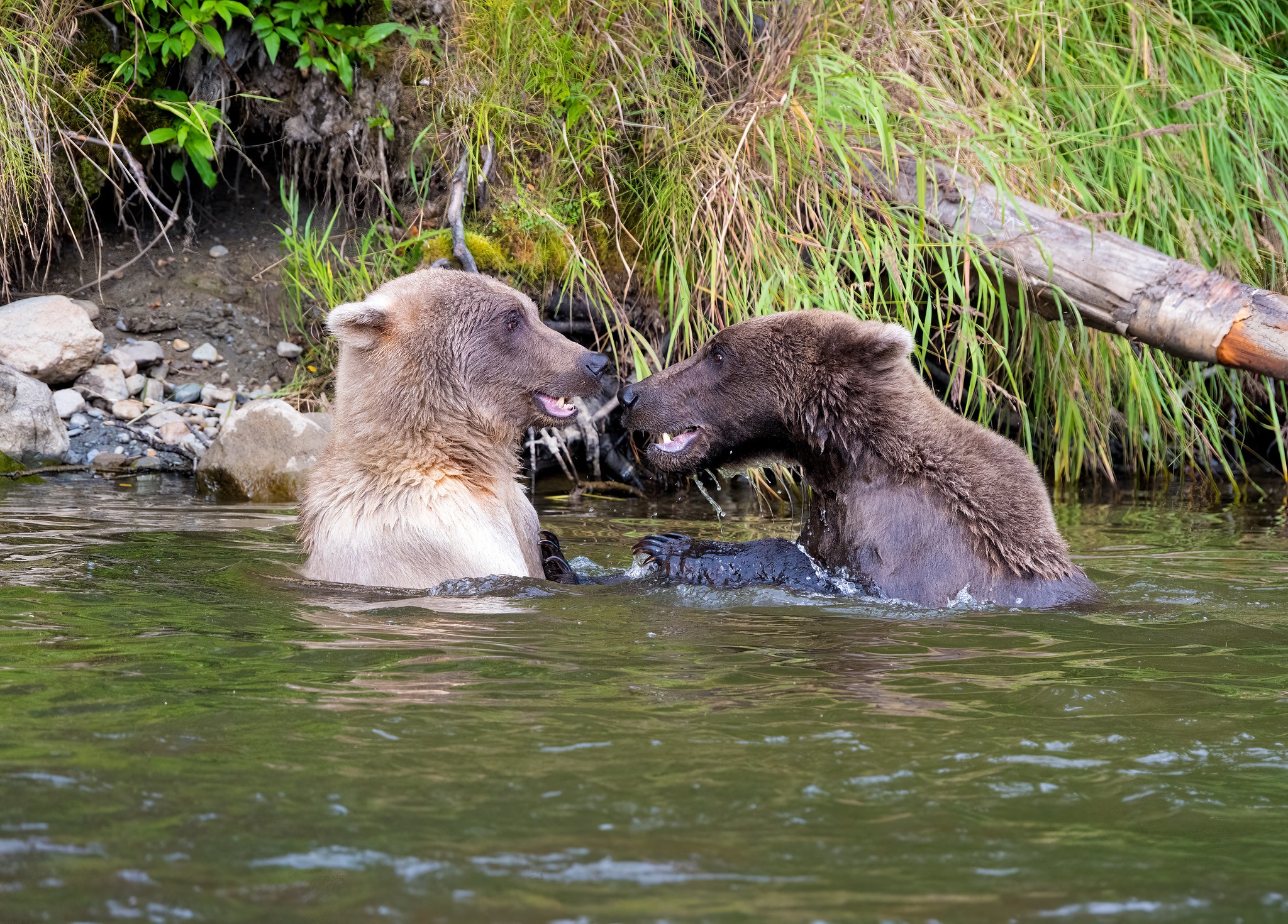 Community photo by Eliot