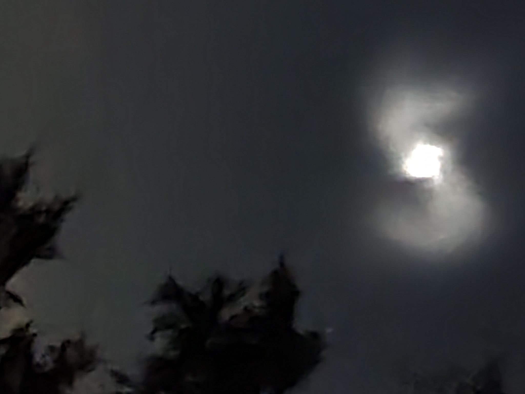 Community photo by Wayne