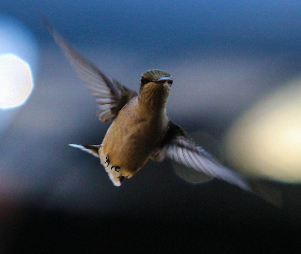 Community photo by Erika