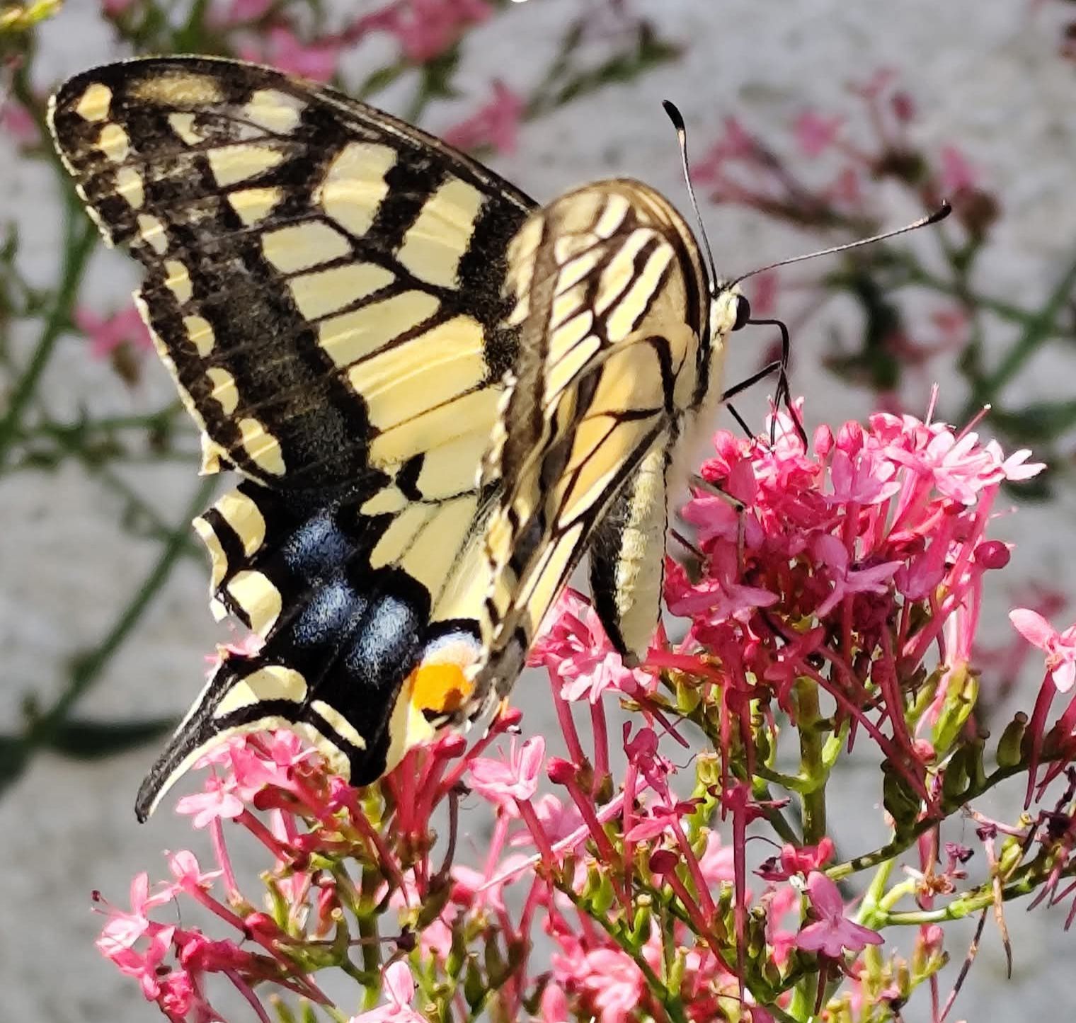 Community photo by Pam