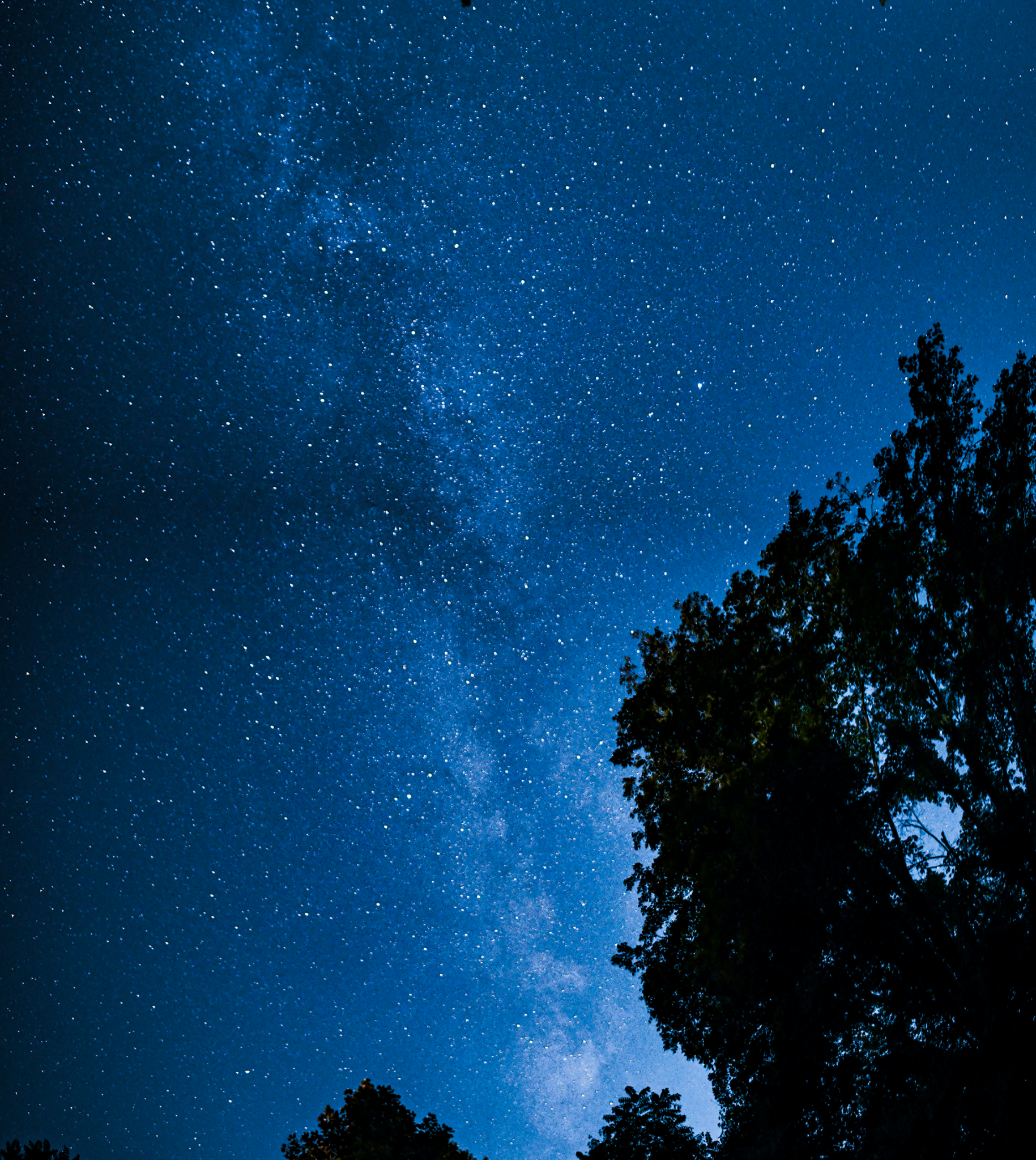 Community photo by Chuck Reinhart | Vincennes, Indiana