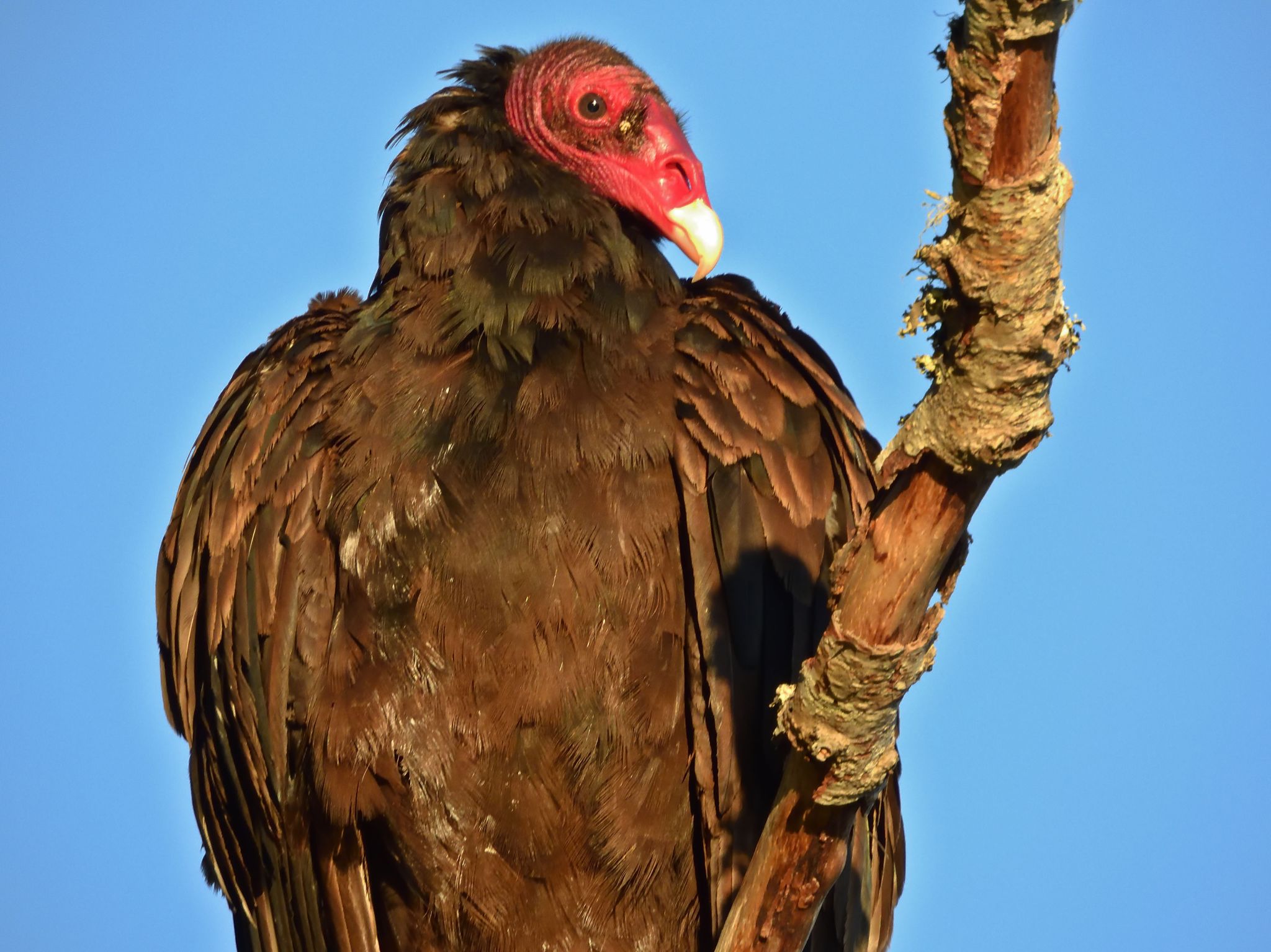 Community photo by Cecille