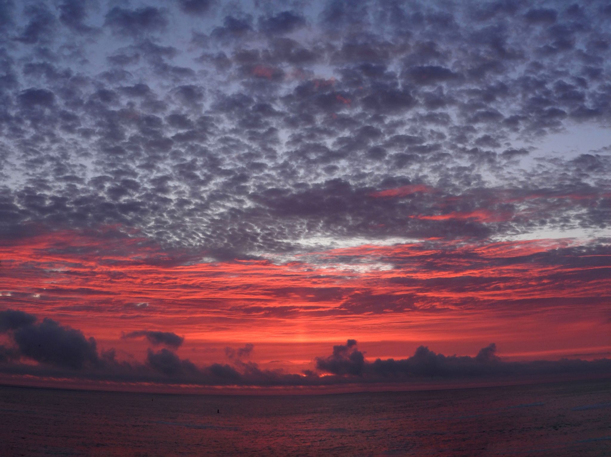 Community photo by Cecille